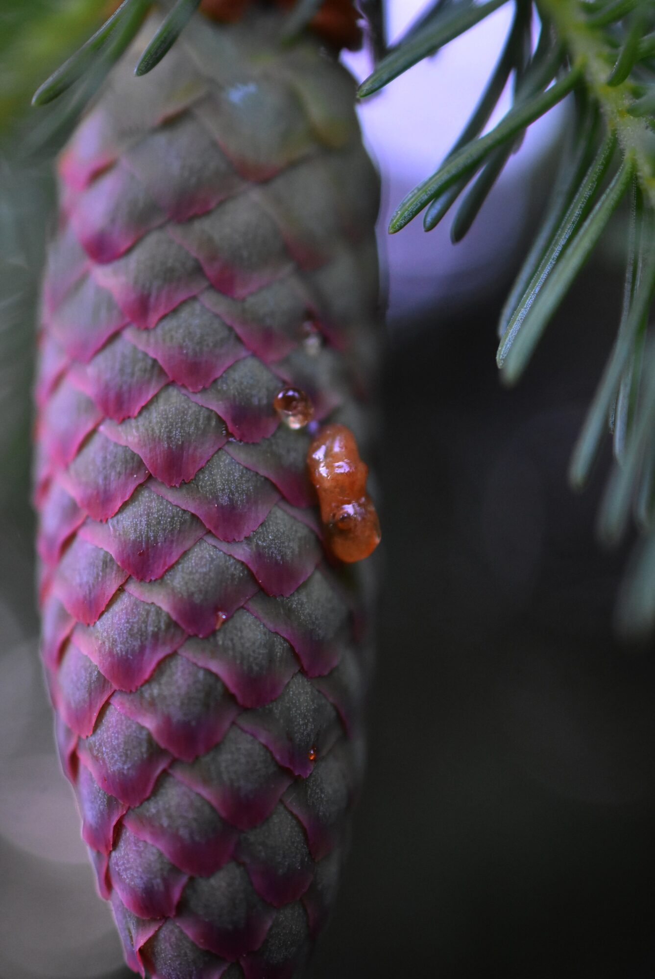 Valokuvaaja: Heli Surakka