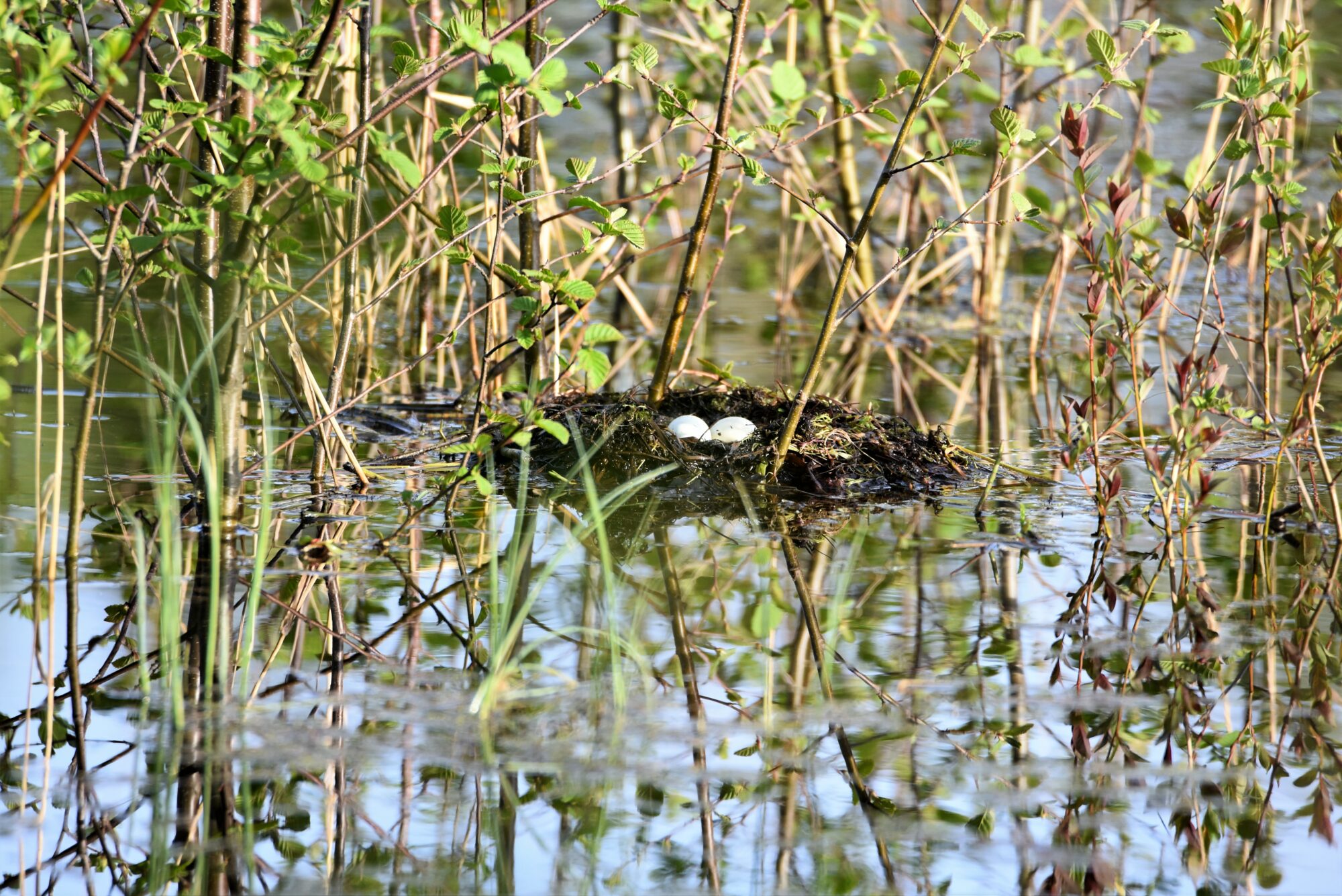 Valokuvaaja: Leena Latvala