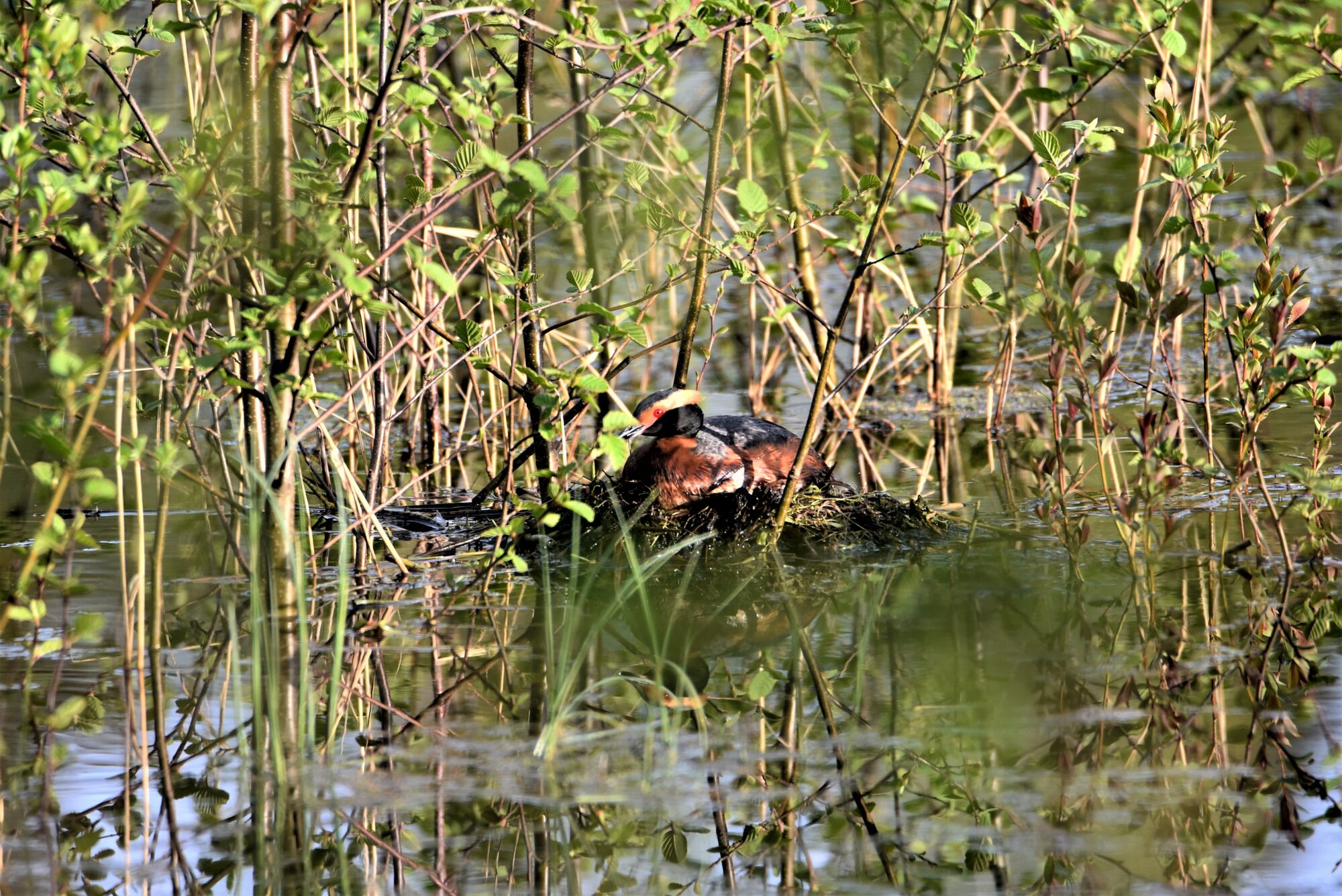 Valokuvaaja: Leena Latvala