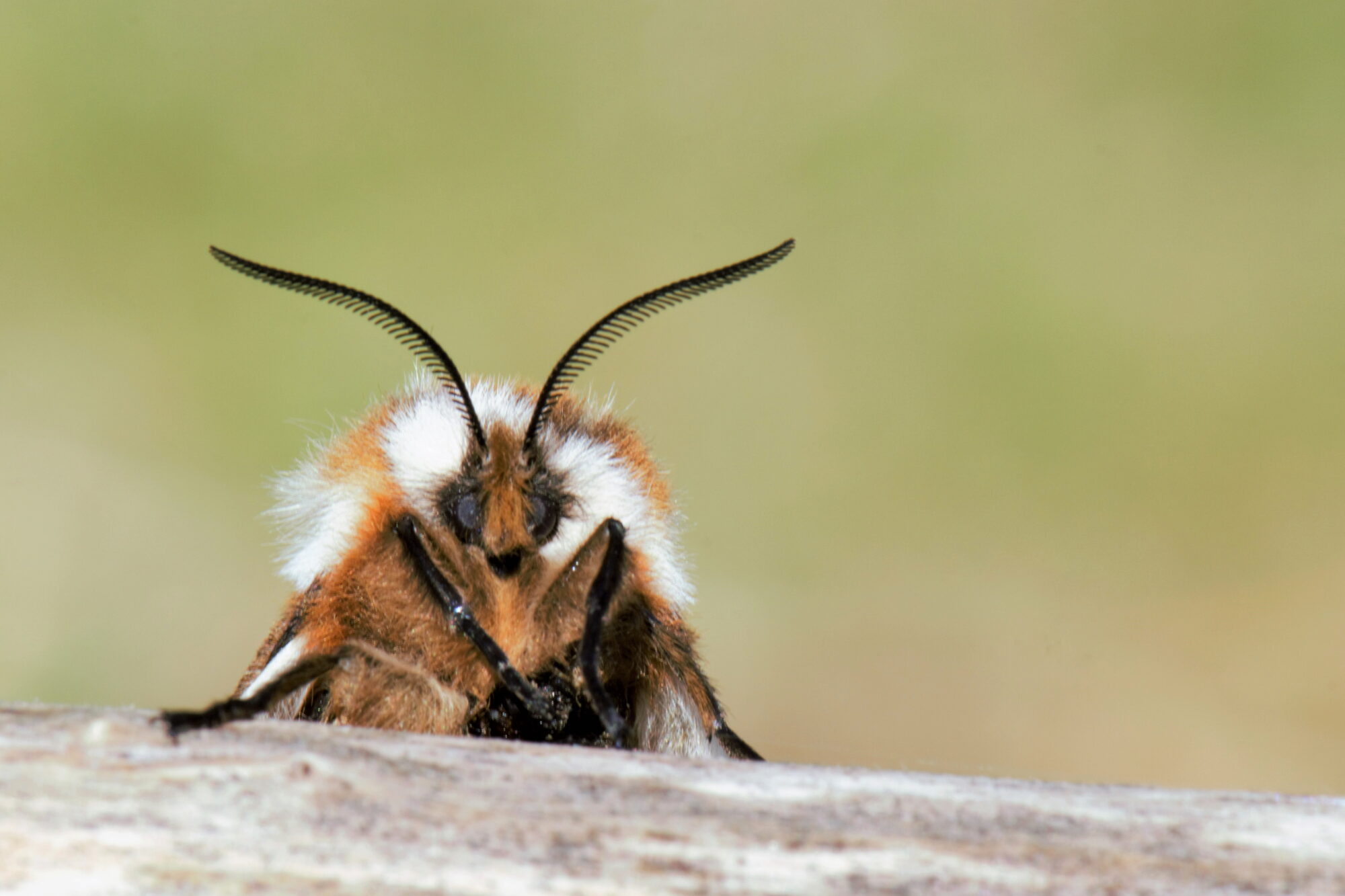 Valokuvaaja: Leena Rissanen