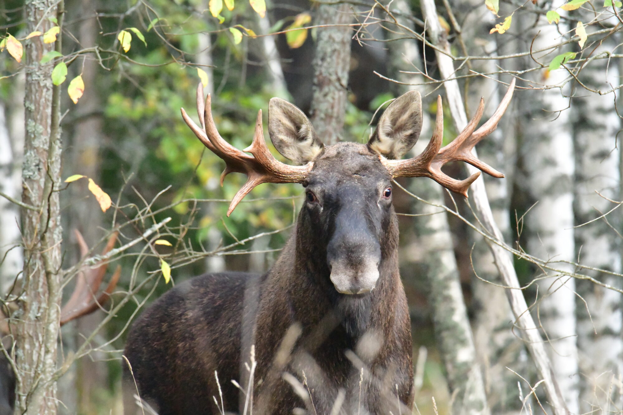 Valokuvaaja: Milja Eerika Pakkala