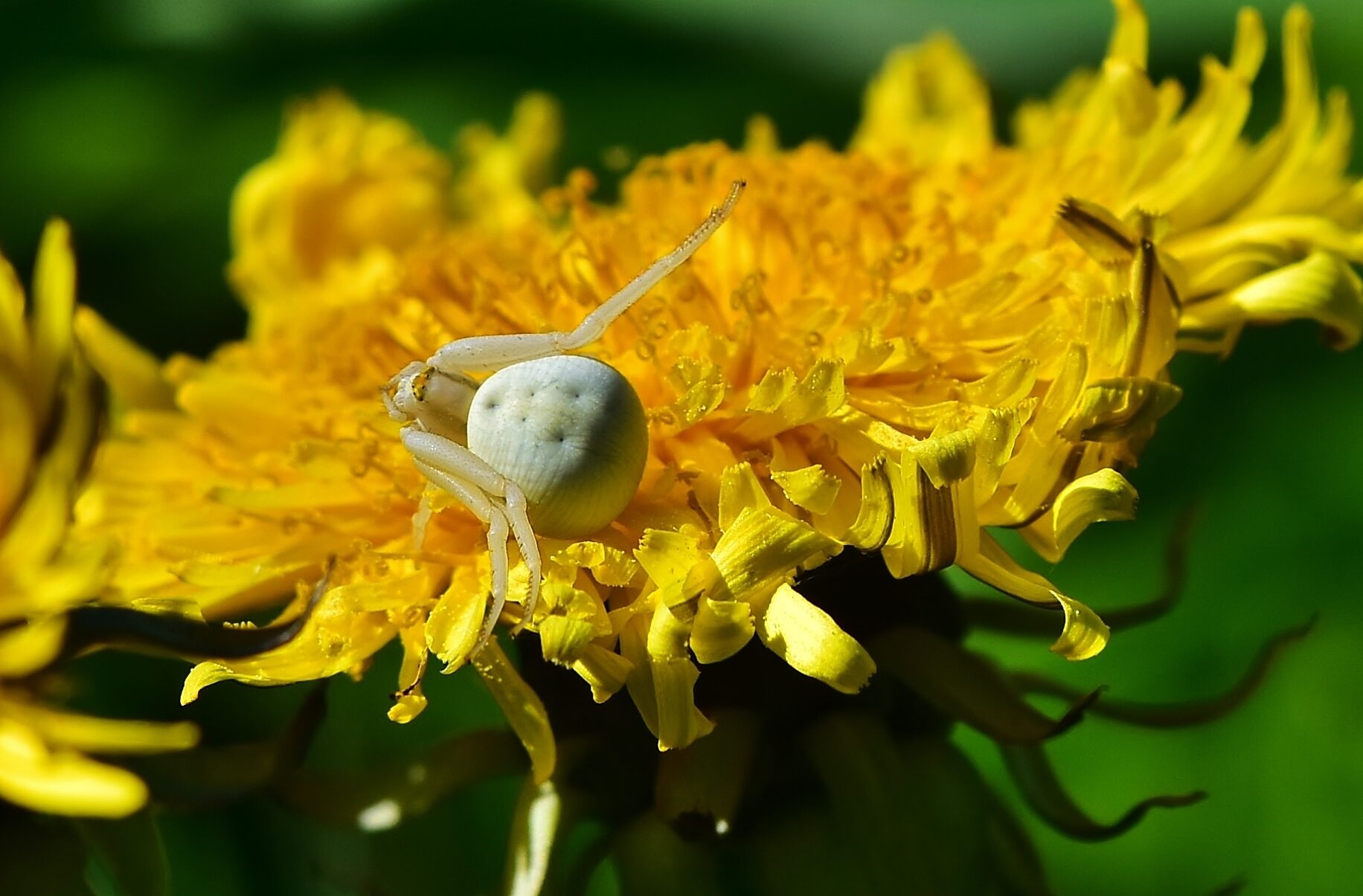 Valokuvaaja: Markku Pelkonen