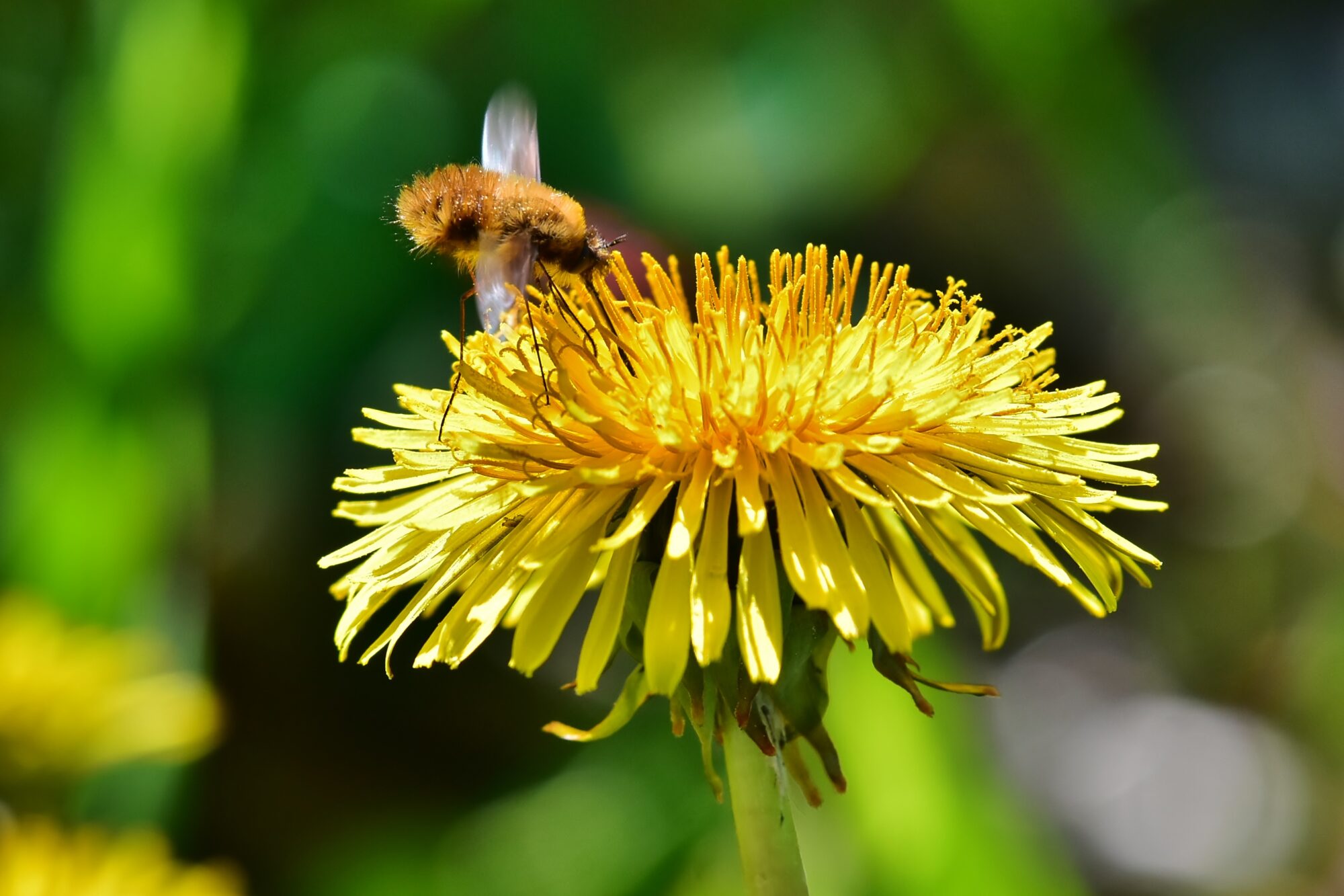 Valokuvaaja: Markku Pelkonen