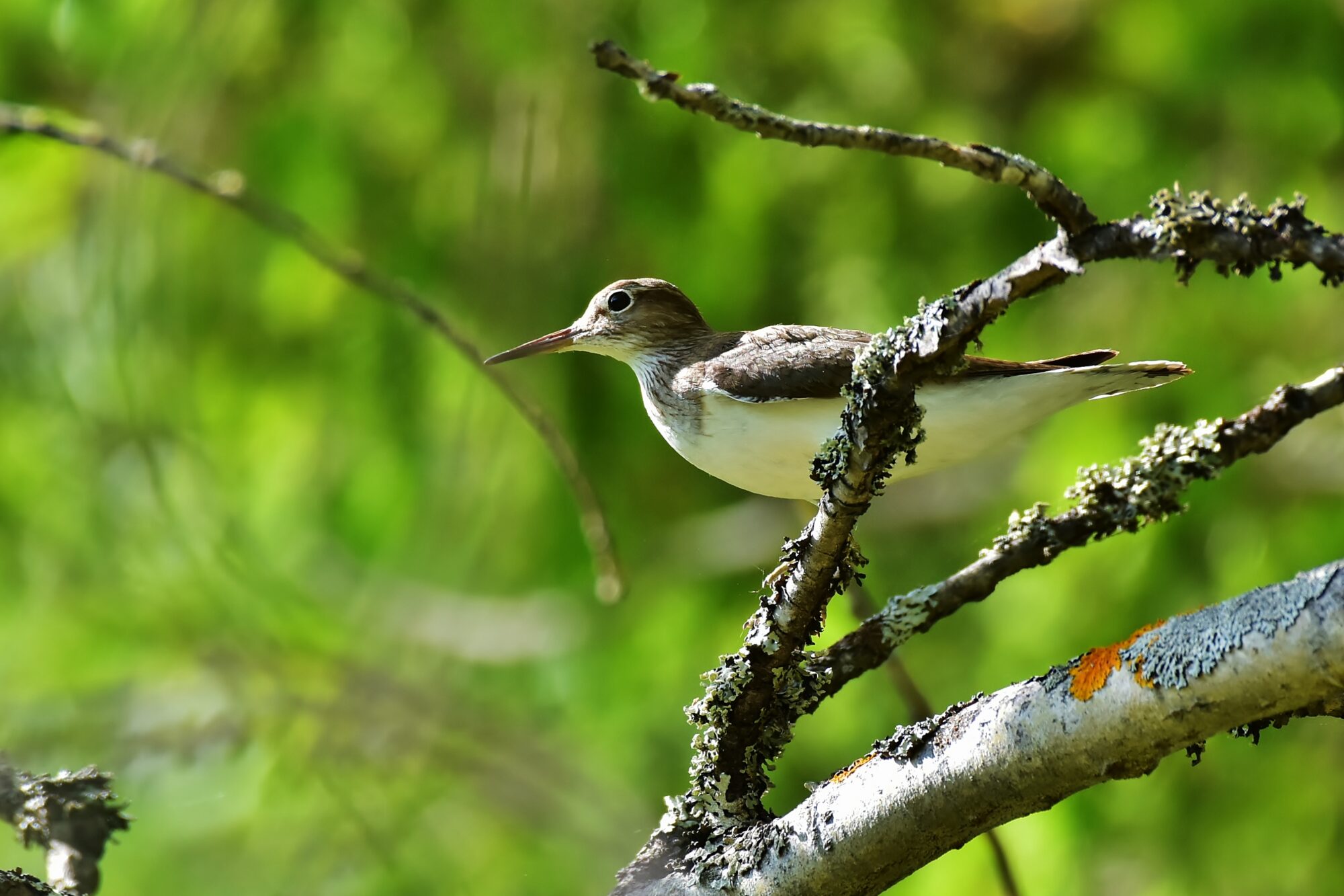 Valokuvaaja: Markku Pelkonen