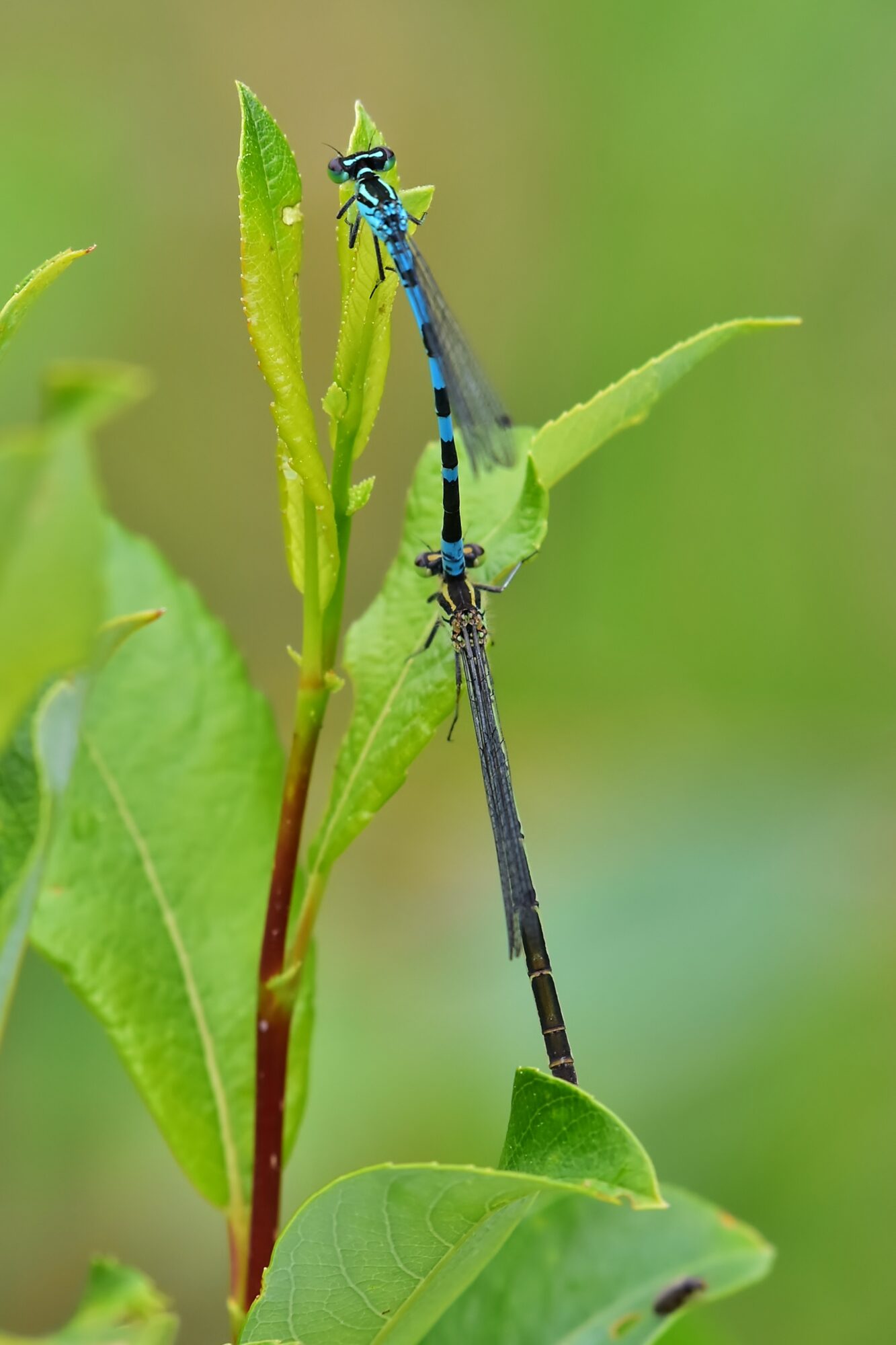 Valokuvaaja: Markku Pelkonen