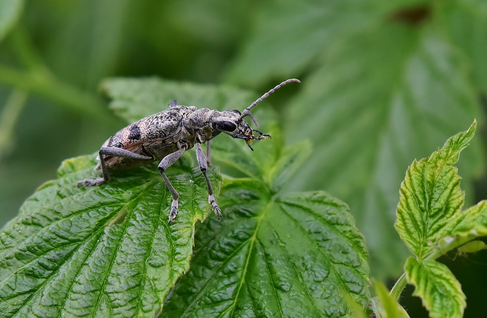 Valokuvaaja: Markku Pelkonen