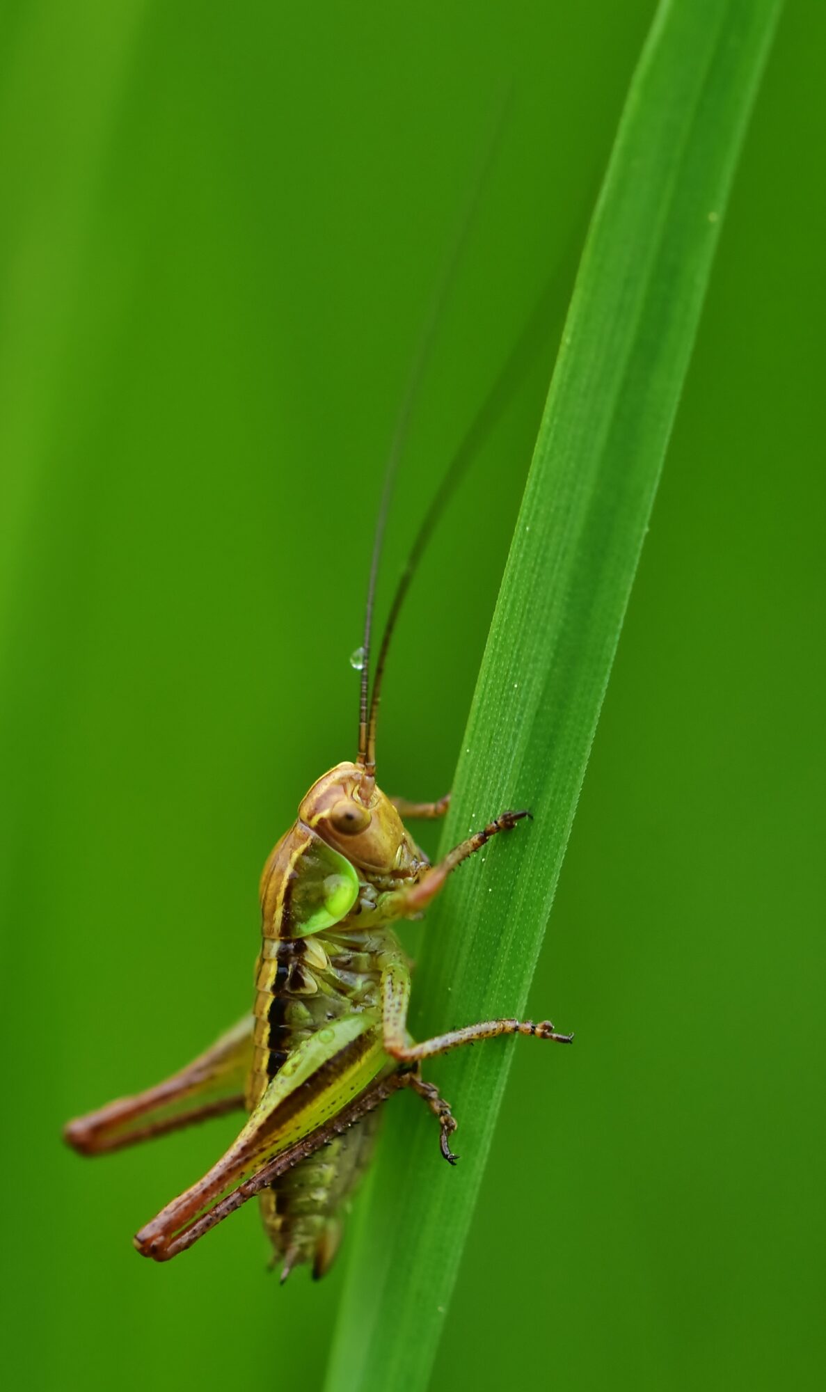 Valokuvaaja: Markku Pelkonen