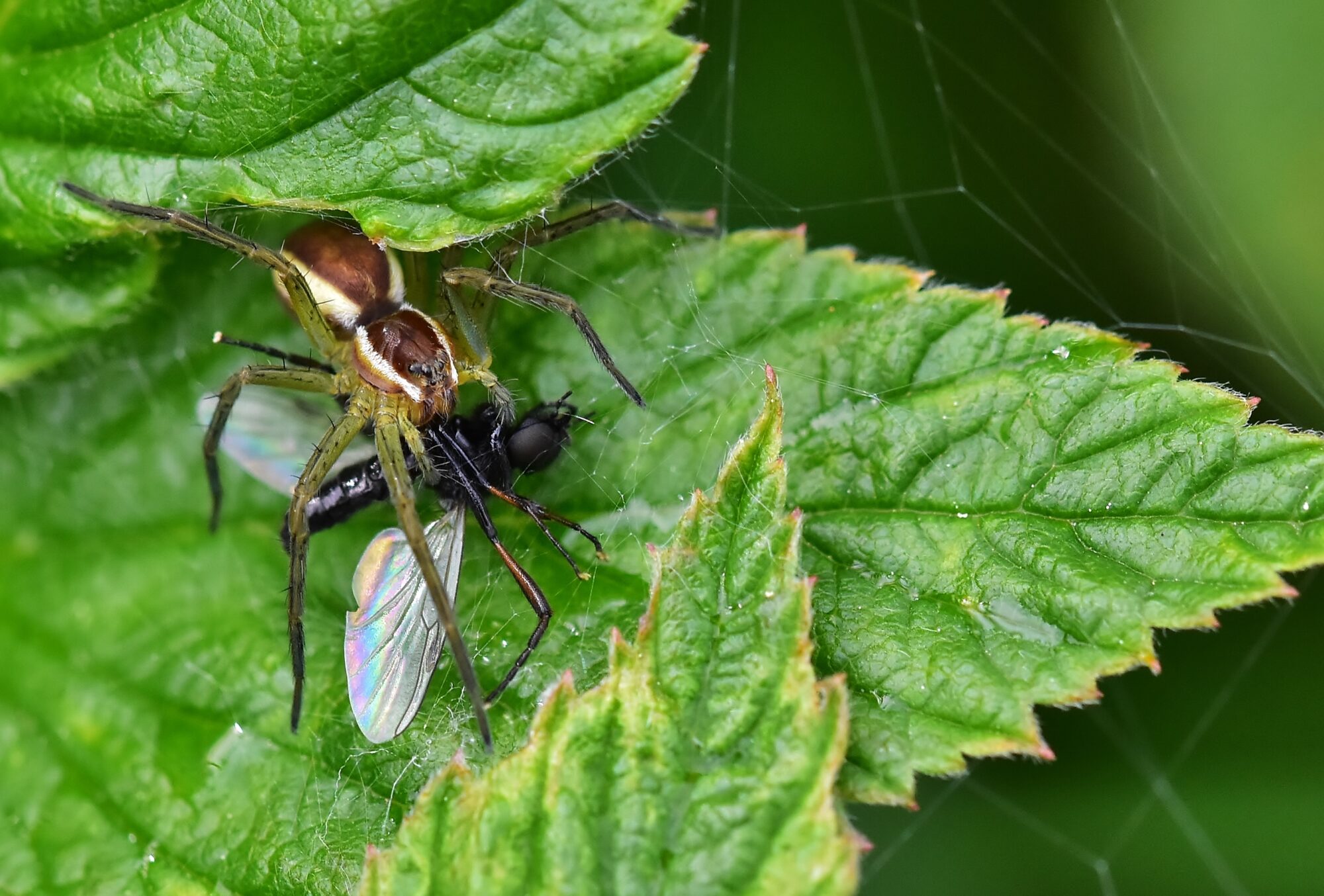 Valokuvaaja: Markku Pelkonen