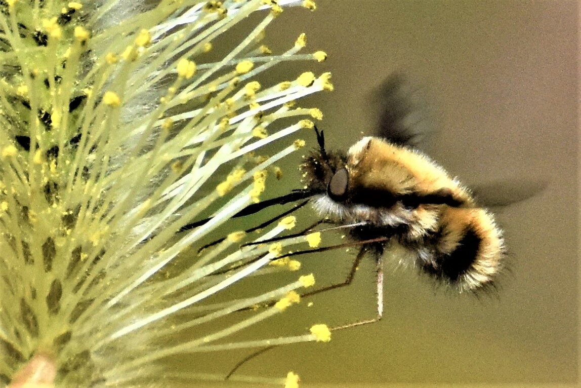 Valokuvaaja: Leena Silvola