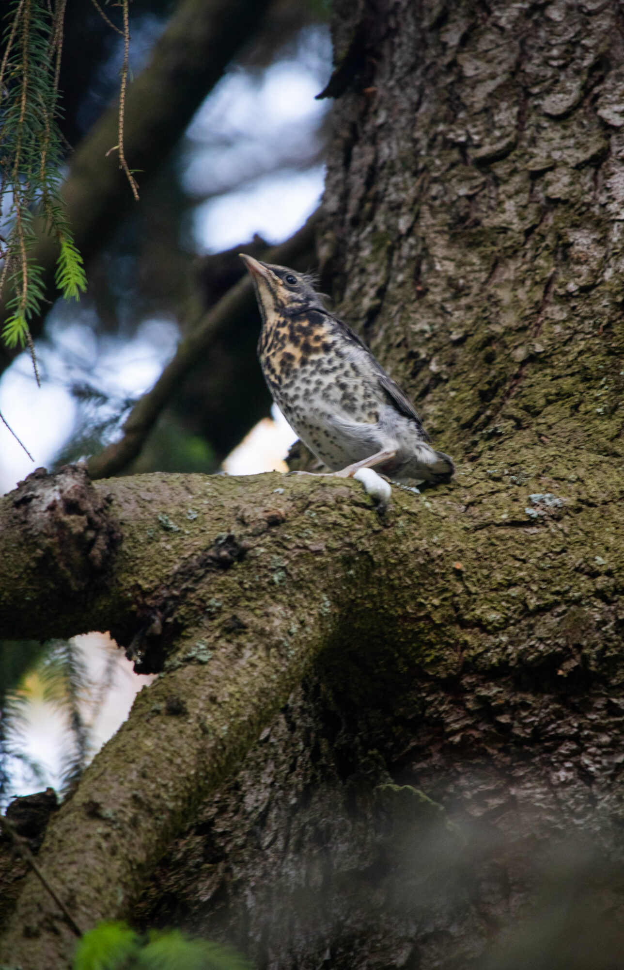 Valokuvaaja: Ida Leino
