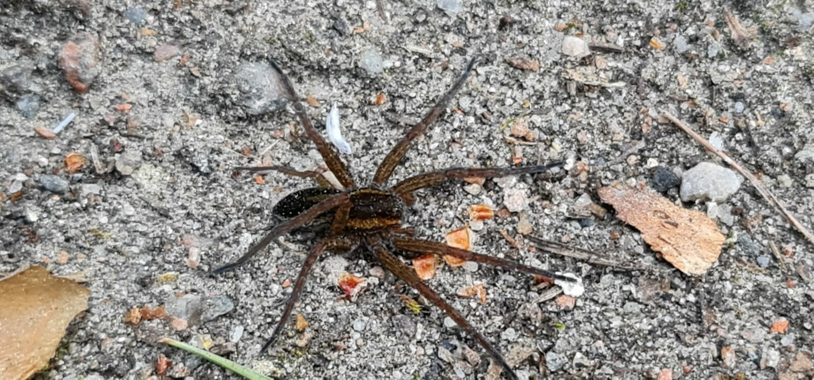 Valokuvaaja: Jesi Oteri