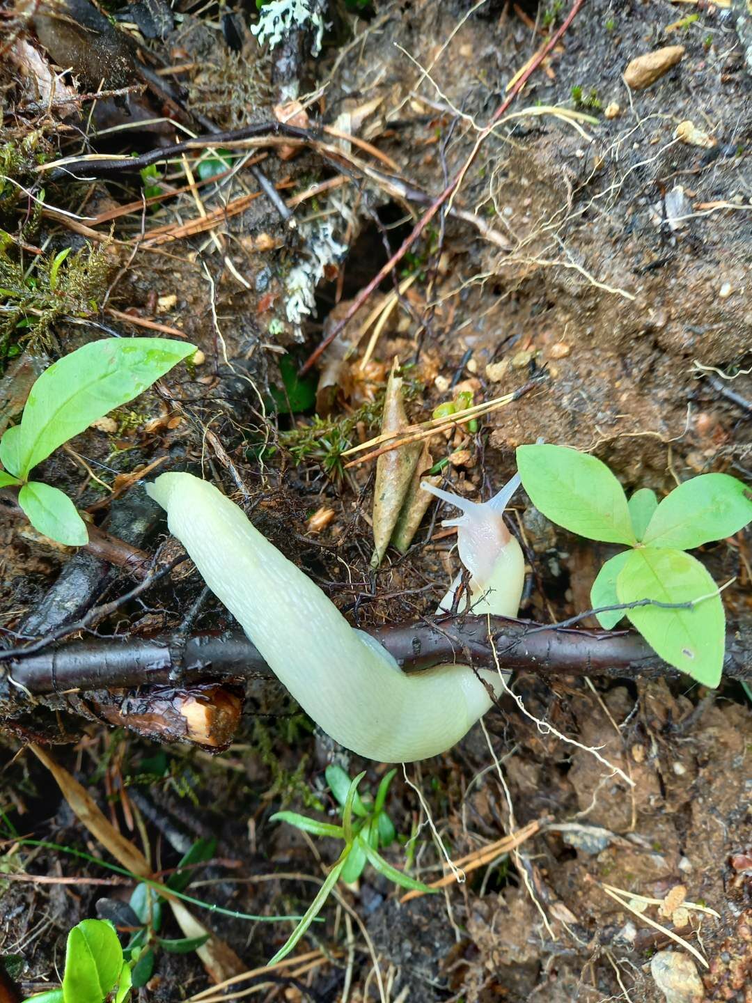 Valokuvaaja: Raino Saari
