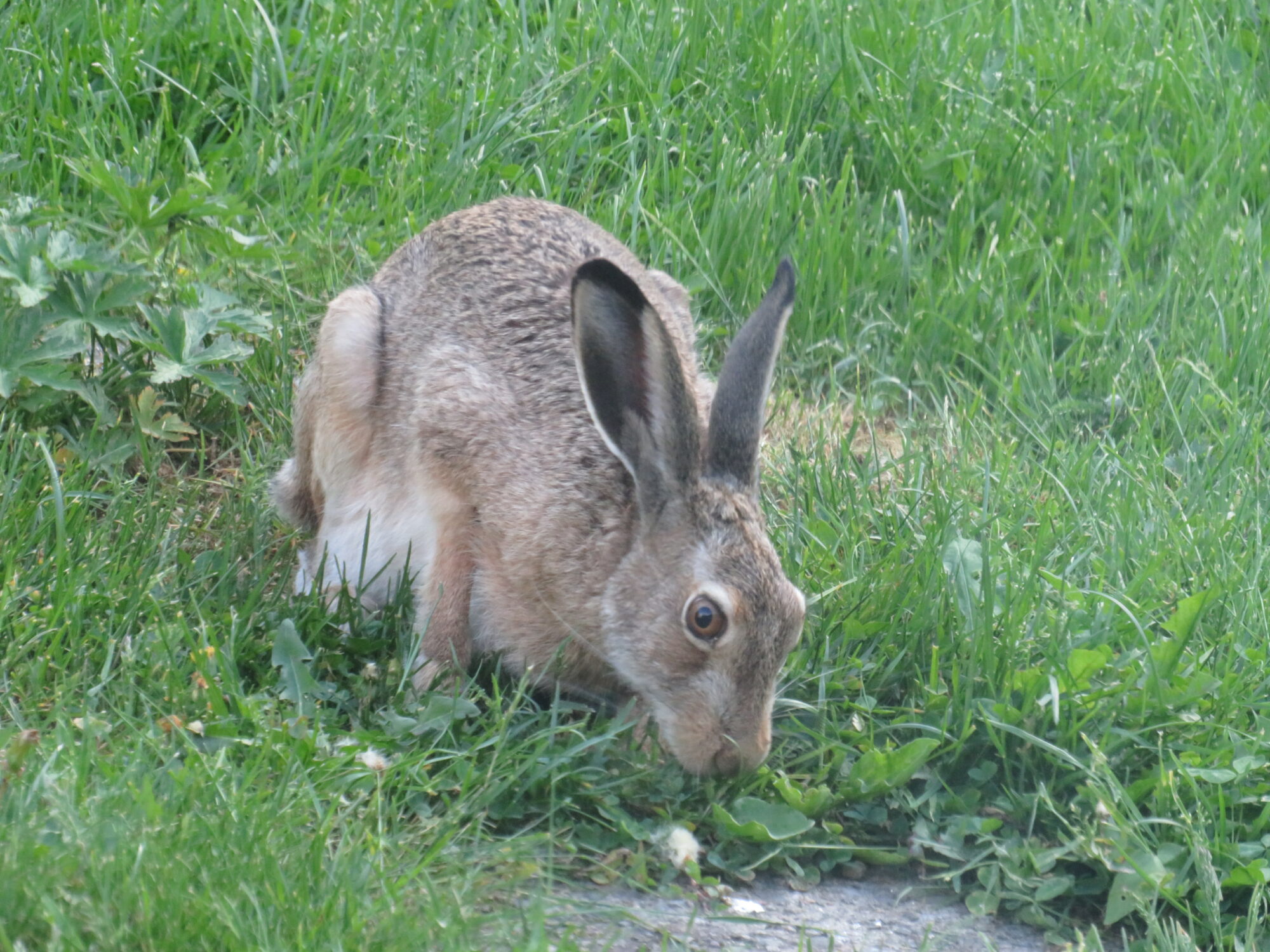 Valokuvaaja: Sirkka Ruotoistenmäki