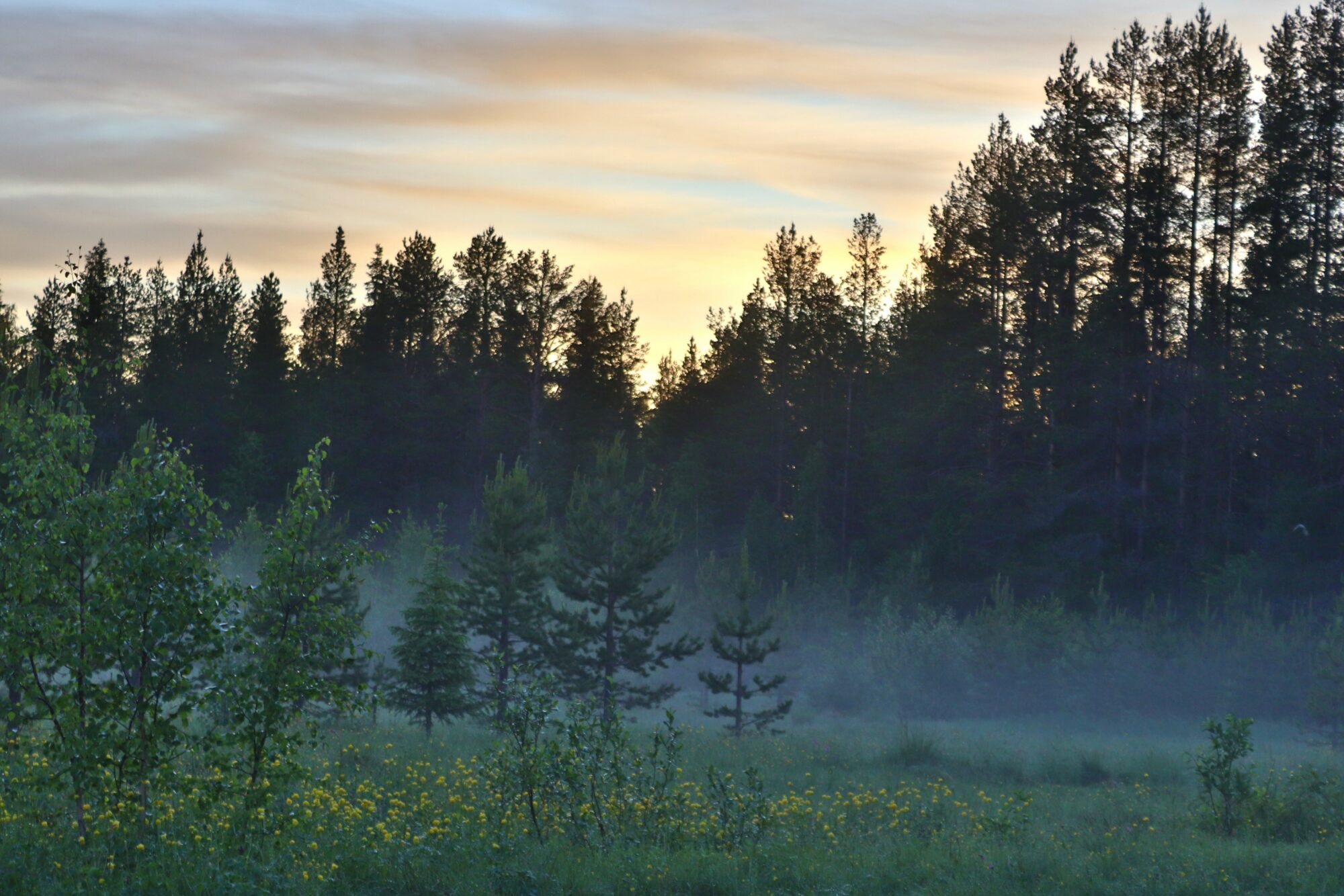 Valokuvaaja: Irja Lehtinen