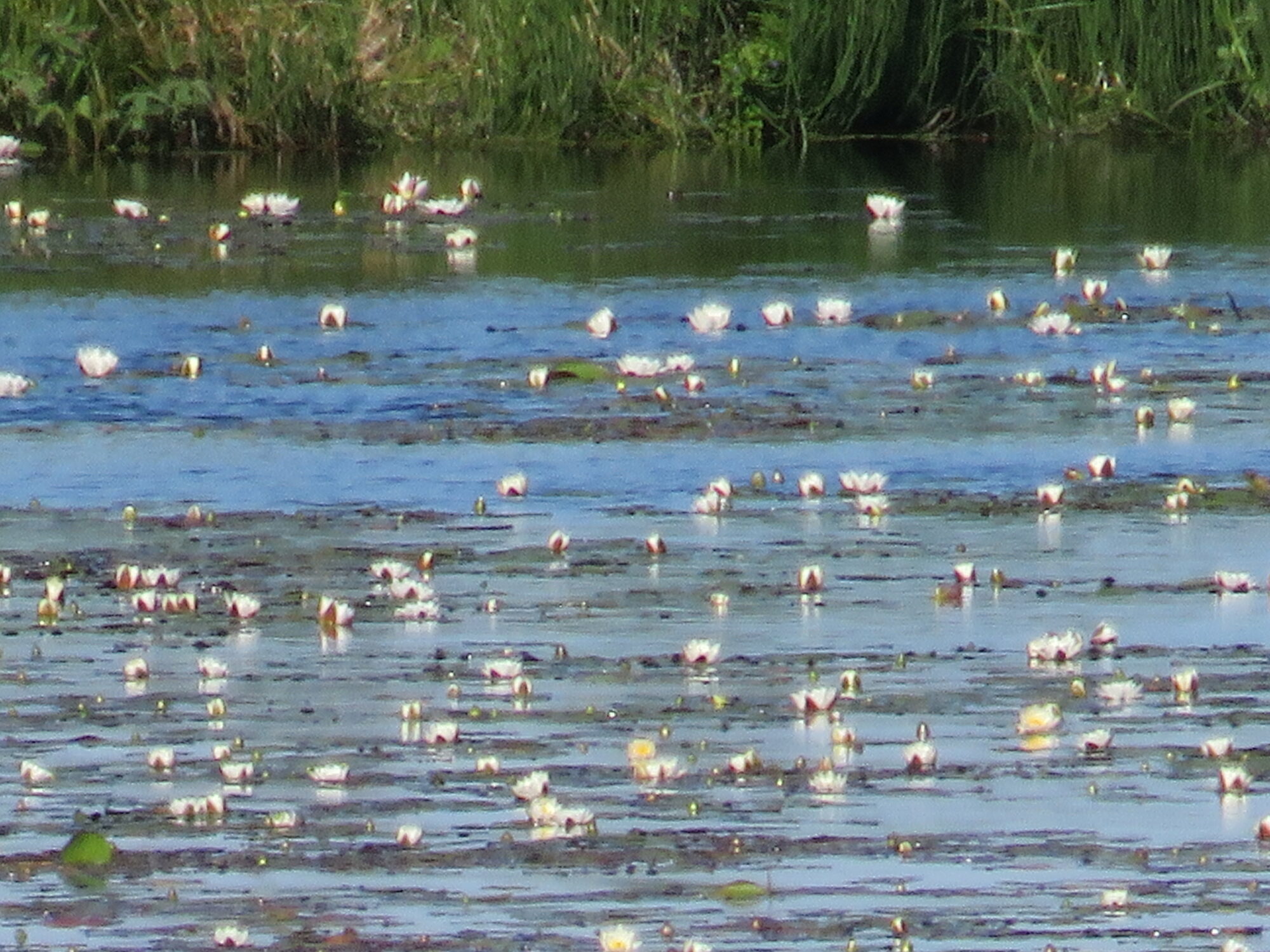 Valokuvaaja: Sirkka Ruotoistenmäki