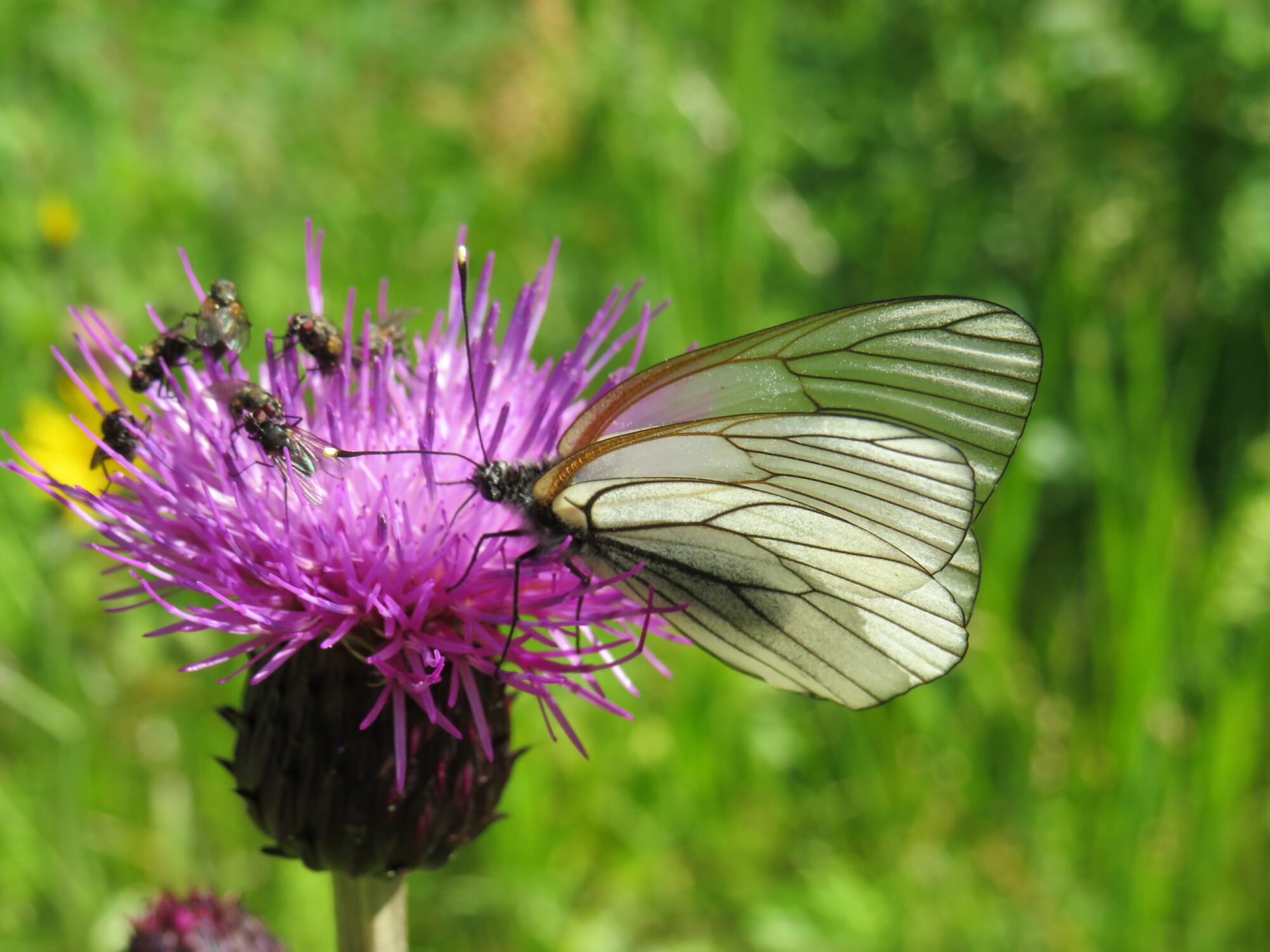 Valokuvaaja: Sirkka Ruotoistenmäki