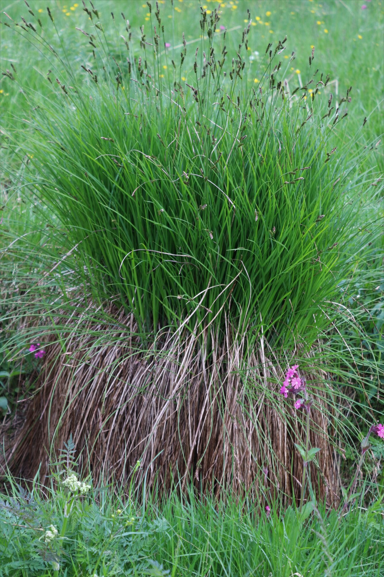 Valokuvaaja: Irja Lehtinen