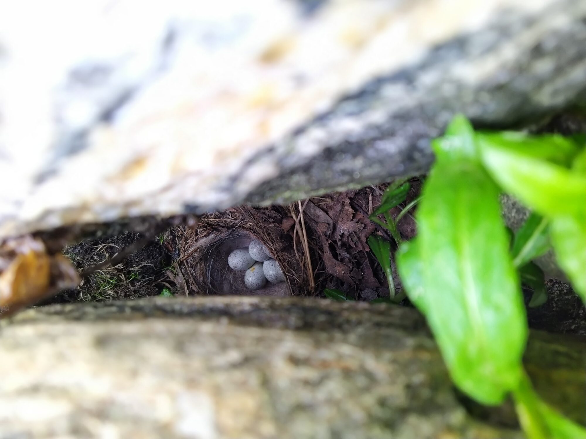 Valokuvaaja: Julia Kokora