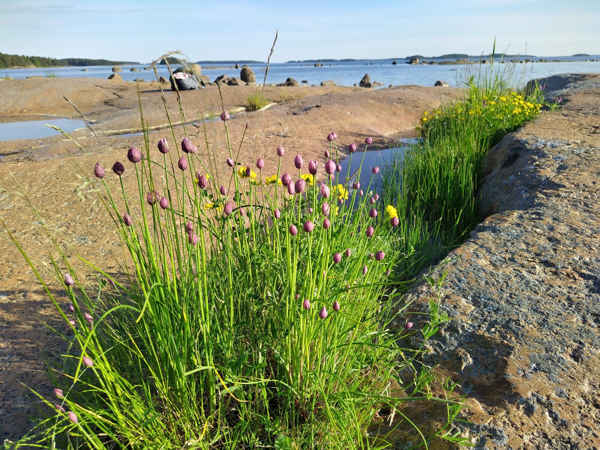 Valokuvaaja: Outi Lankia