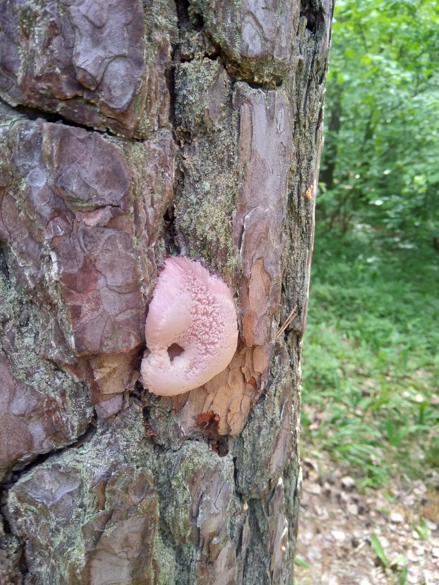 Valokuvaaja: Olli Karppijärvi