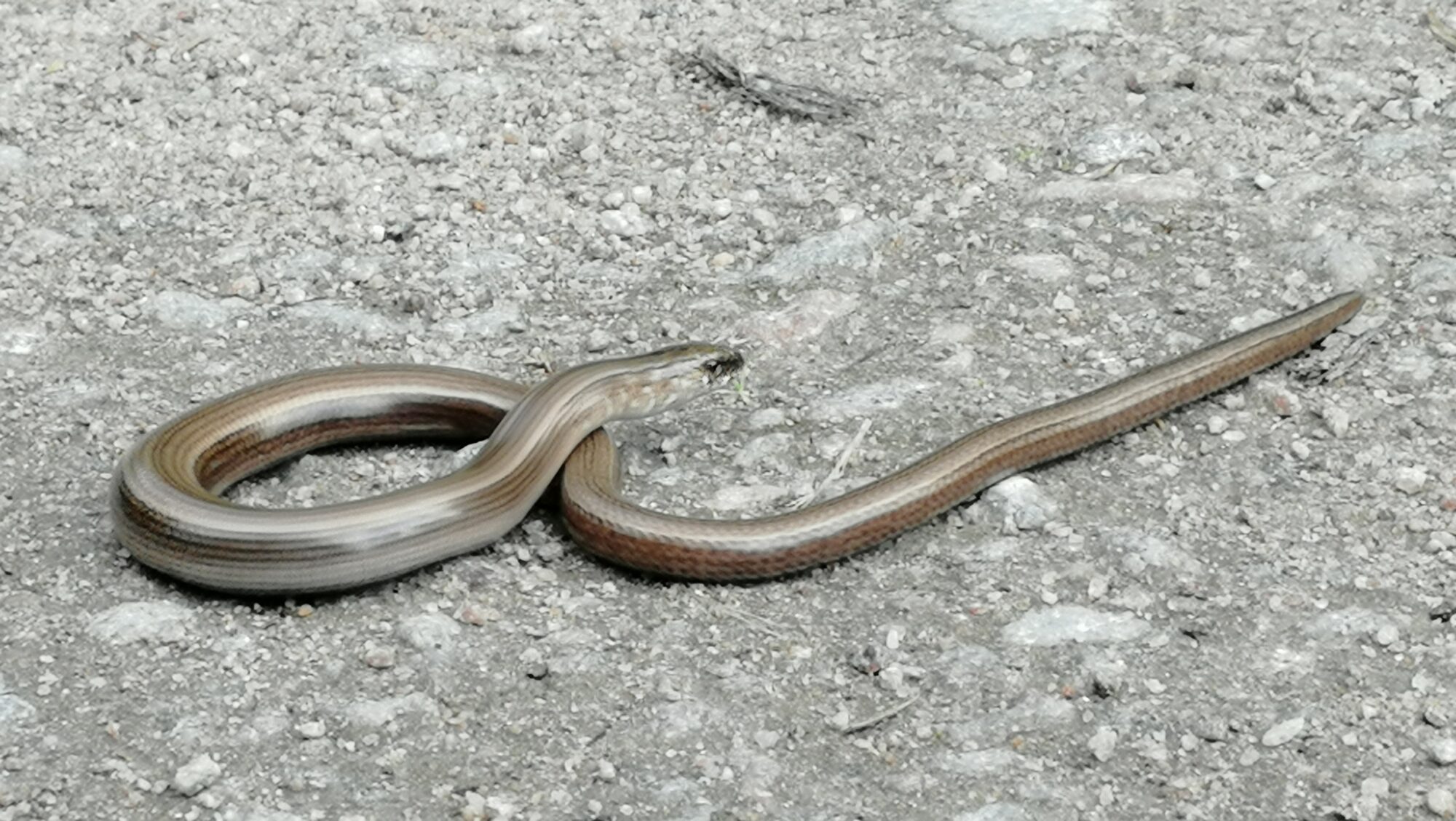 Valokuvaaja: Minna Korhonen