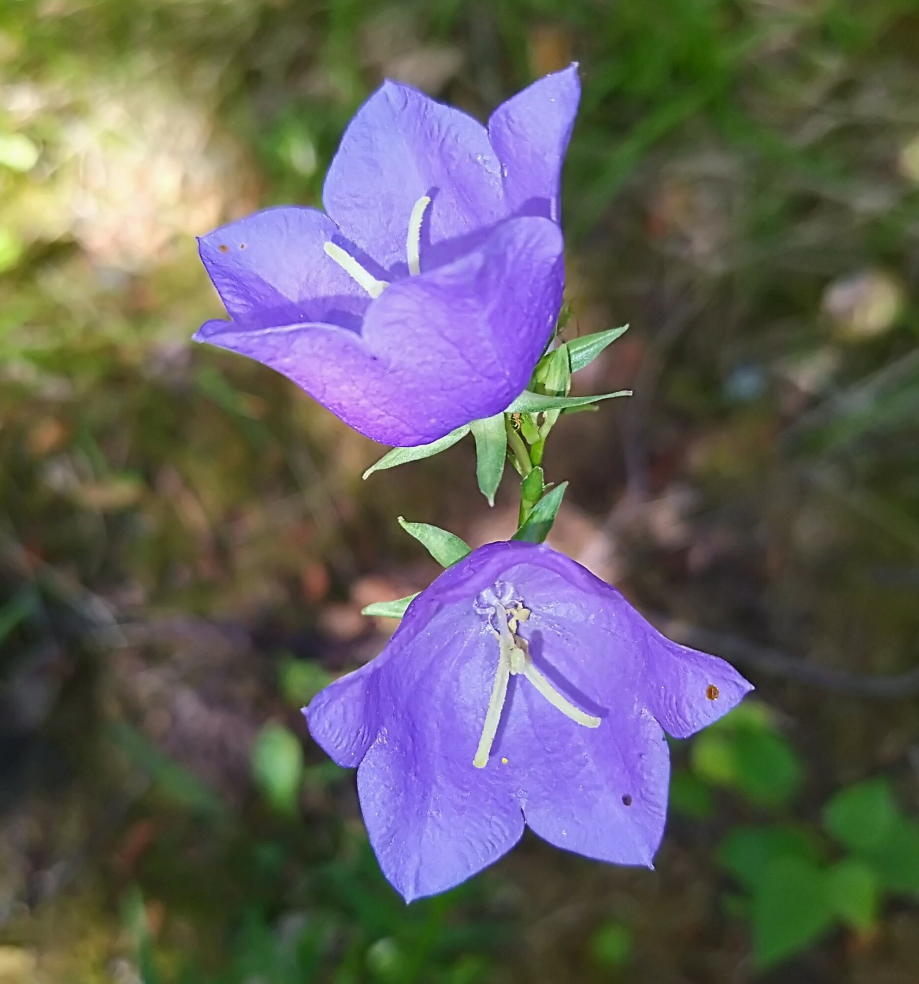 Valokuvaaja: Pekka Heino