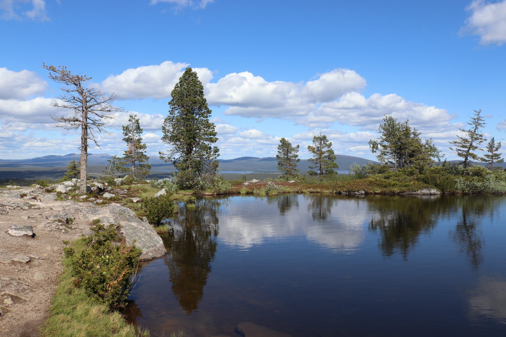 Valokuvaaja: Irja Lehtinen