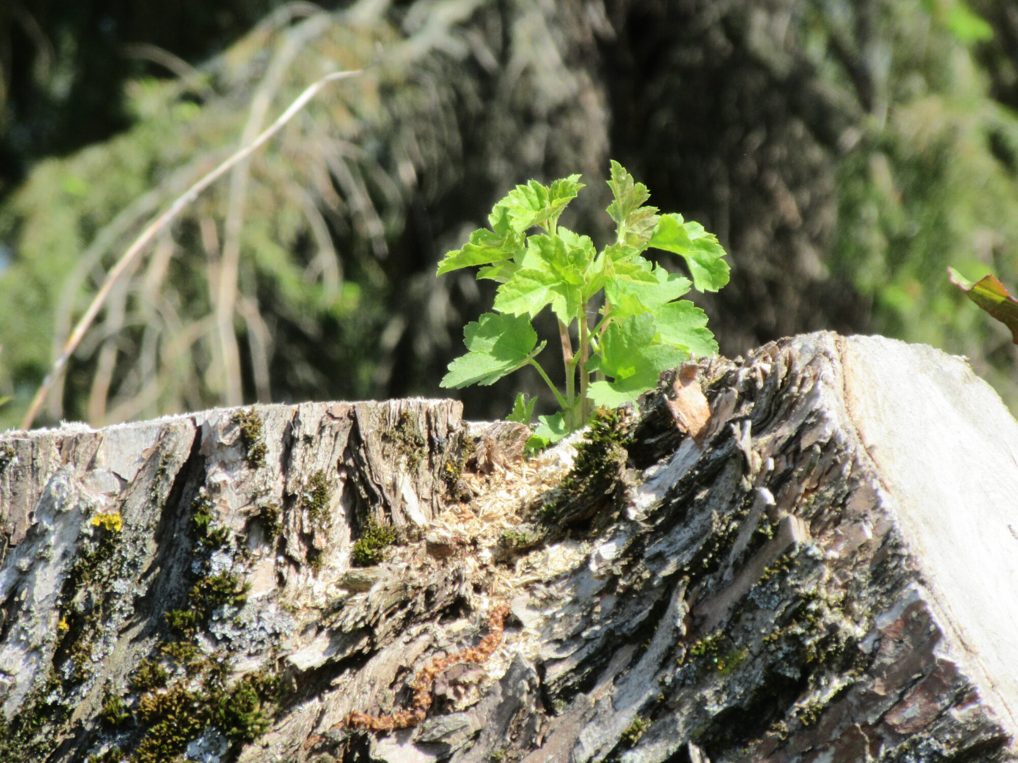 Valokuvaaja: Terttu Rantanen