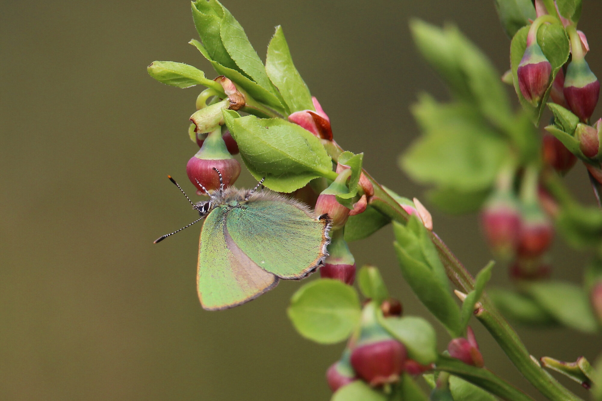 Valokuvaaja: Kirsi-Marja Joenpolvi