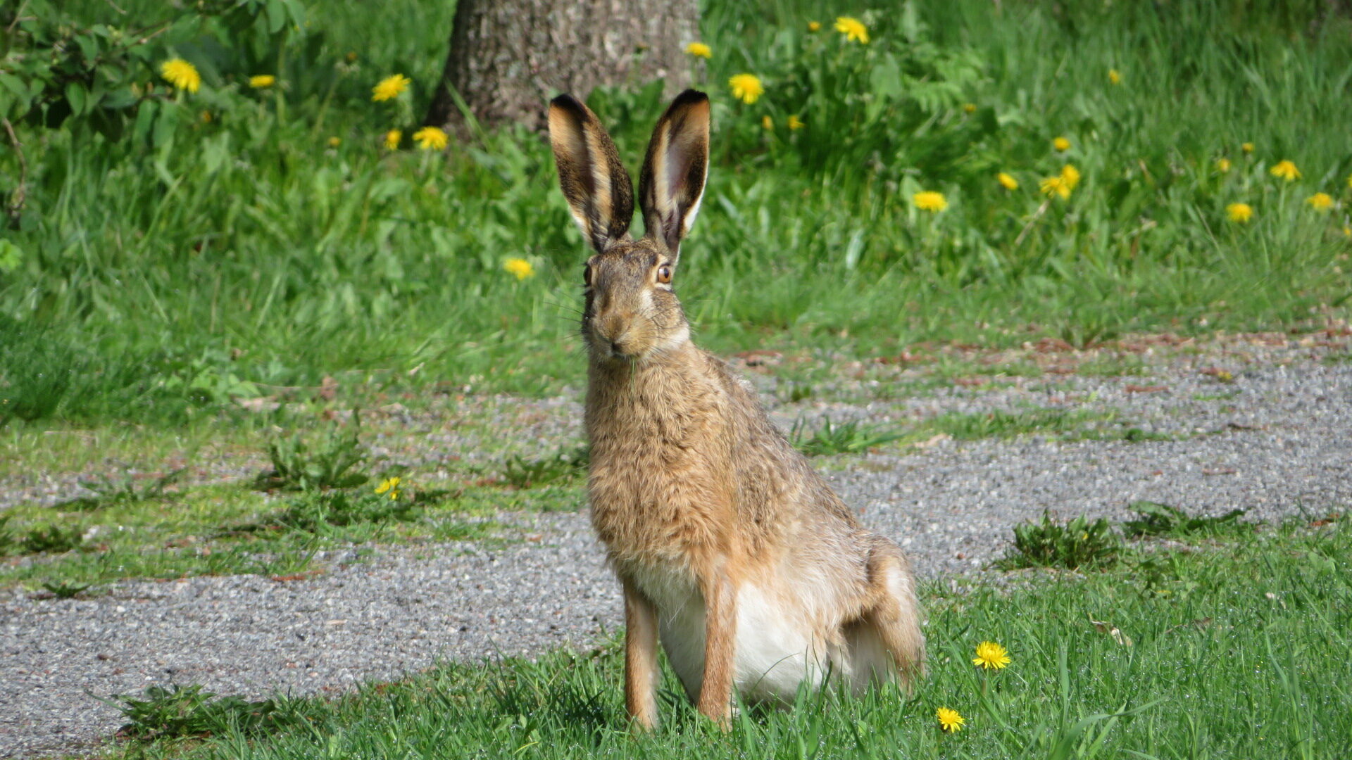 Valokuvaaja: Risto Kangassalo