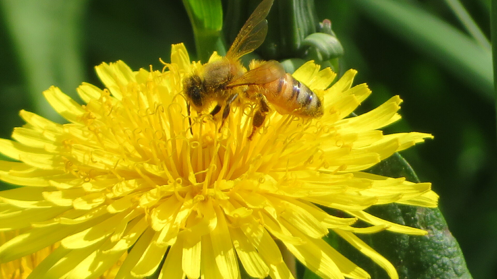 Valokuvaaja: Risto Kangassalo