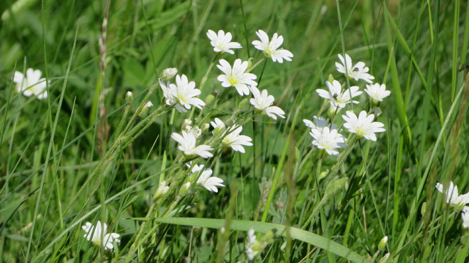 Valokuvaaja: Risto Kangassalo