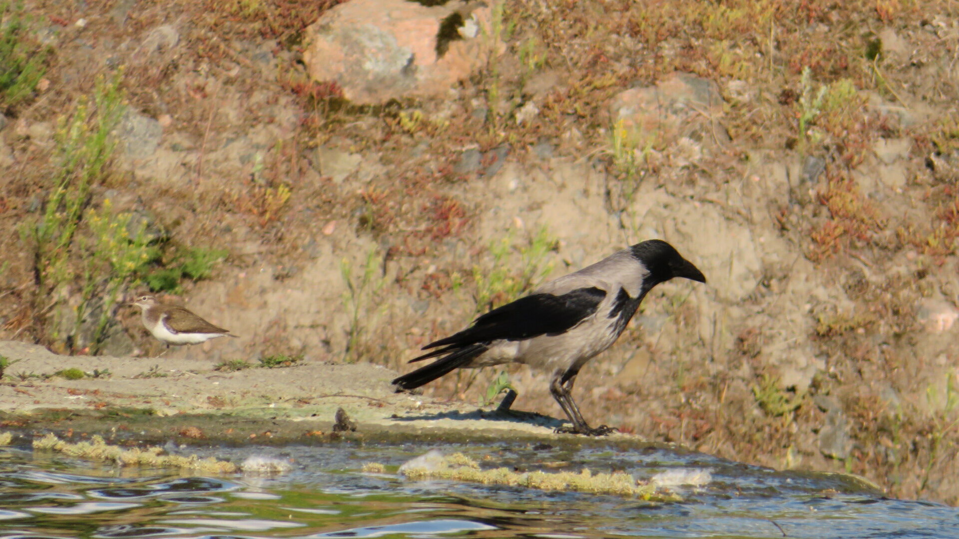 Valokuvaaja: Risto Kangassalo