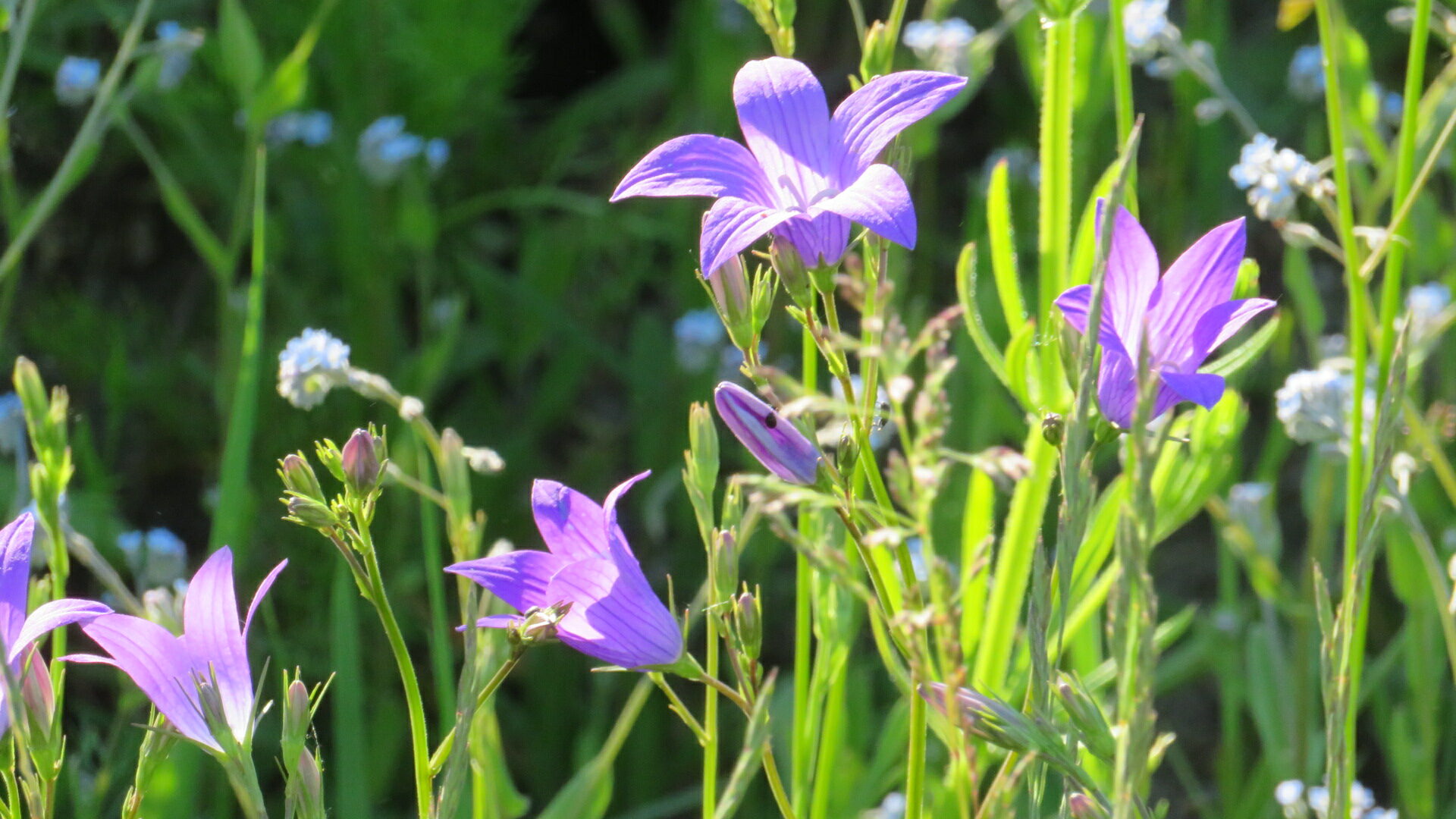 Valokuvaaja: Risto Kangassalo
