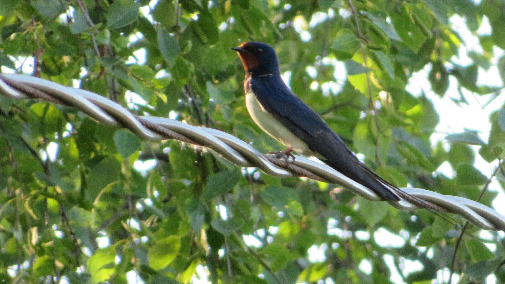 Valokuvaaja: Risto Kangassalo