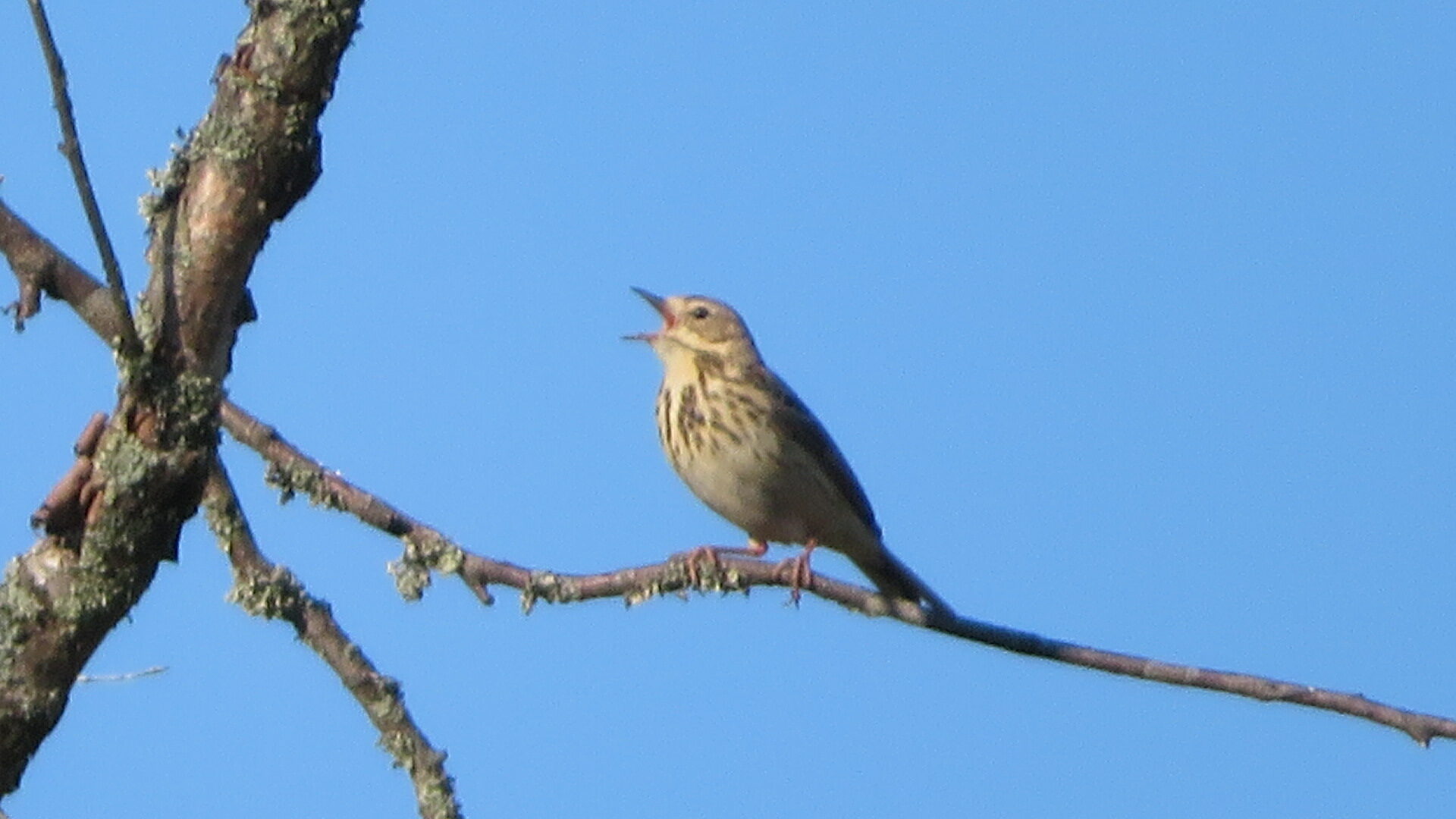 Valokuvaaja: Risto Kangassalo