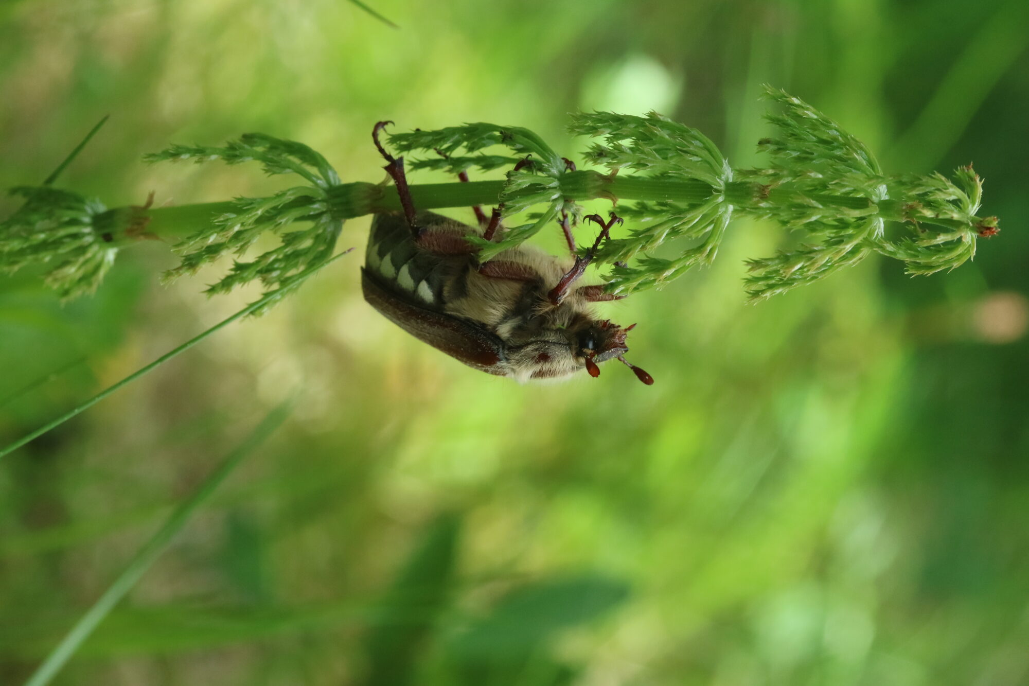 Valokuvaaja: Hannu Rasiranta Valokuvaaja: Hannu Rasiranta