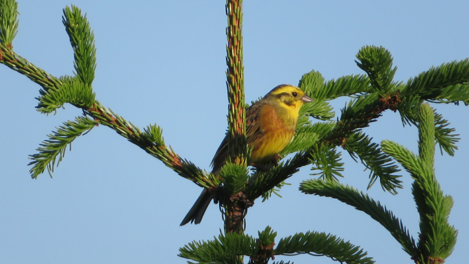 Valokuvaaja: Risto Kangassalo