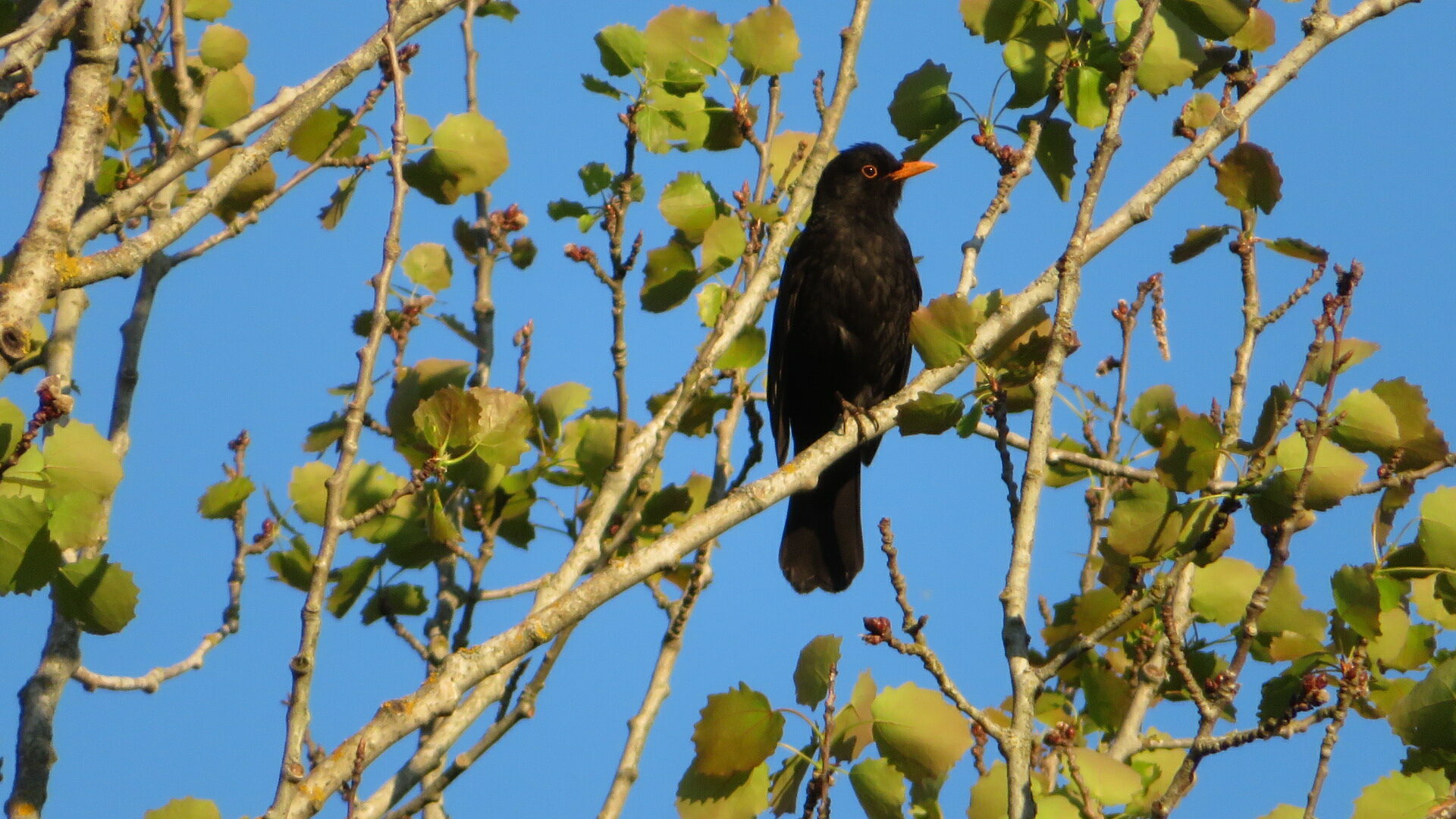Valokuvaaja: Risto Kangassalo