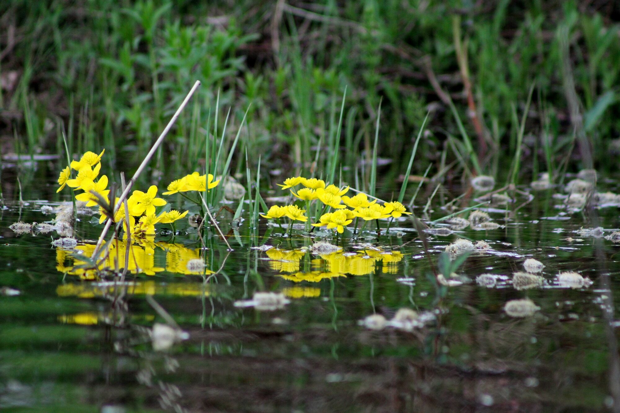 Valokuvaaja: Pirkko Siukonen