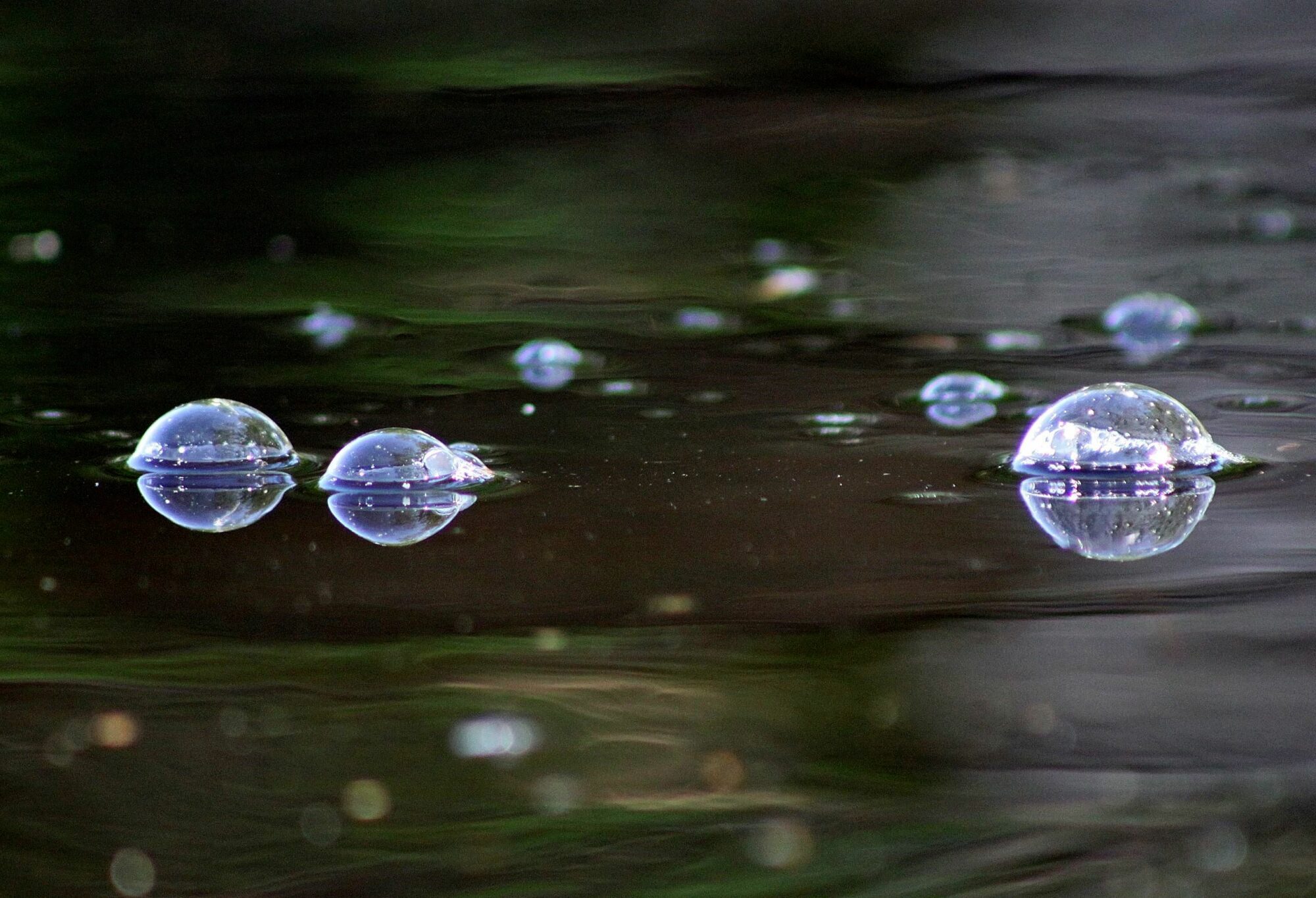 Valokuvaaja: Pirkko Siukonen