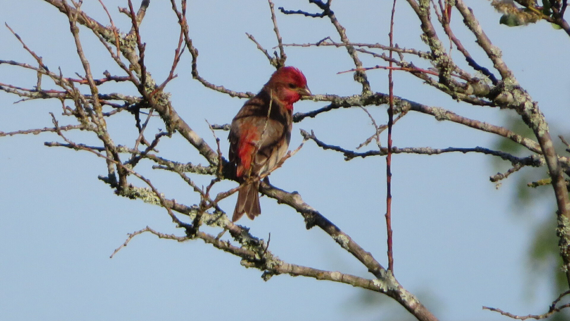 Valokuvaaja: Risto Kangassalo