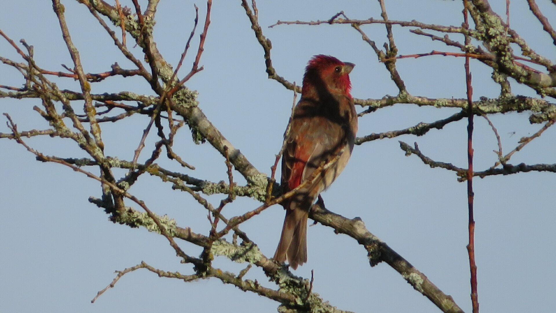 Valokuvaaja: Risto Kangassalo
