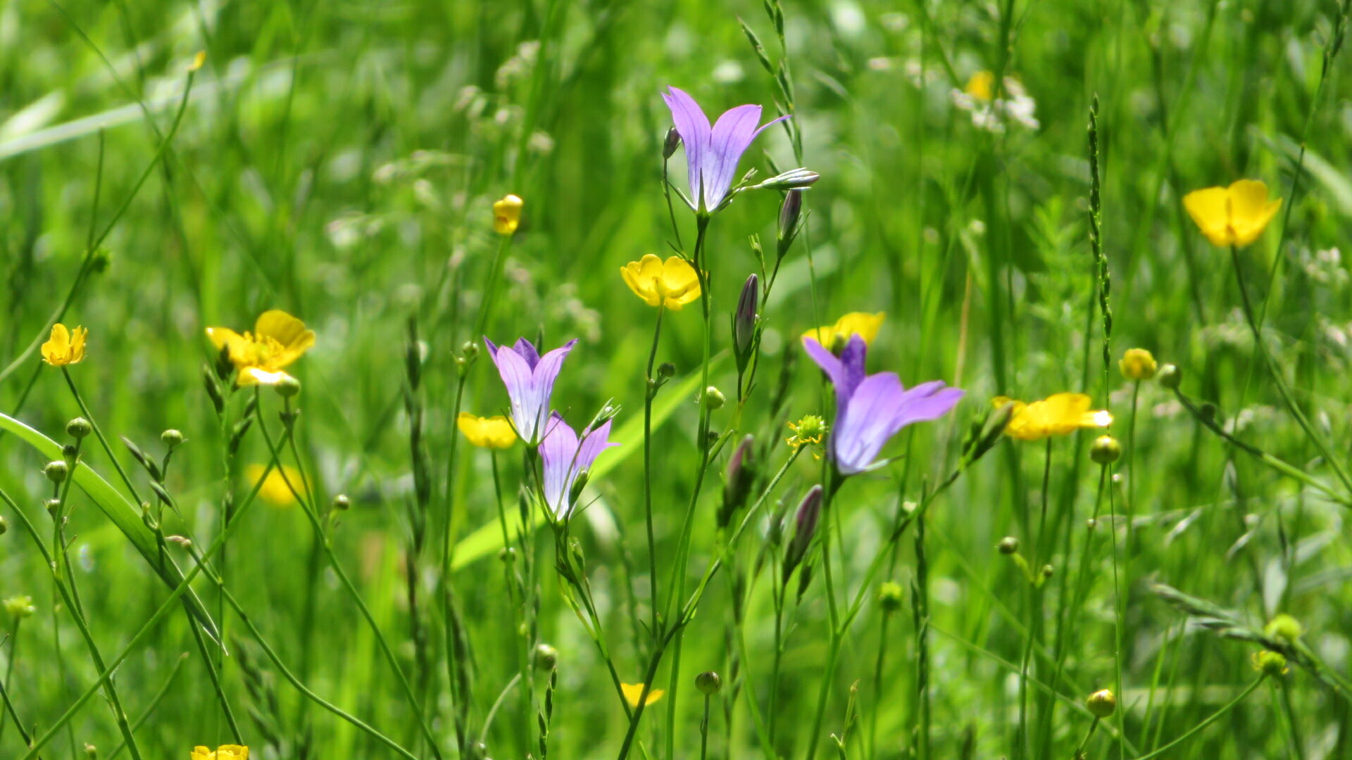 Valokuvaaja: Risto Kangassalo