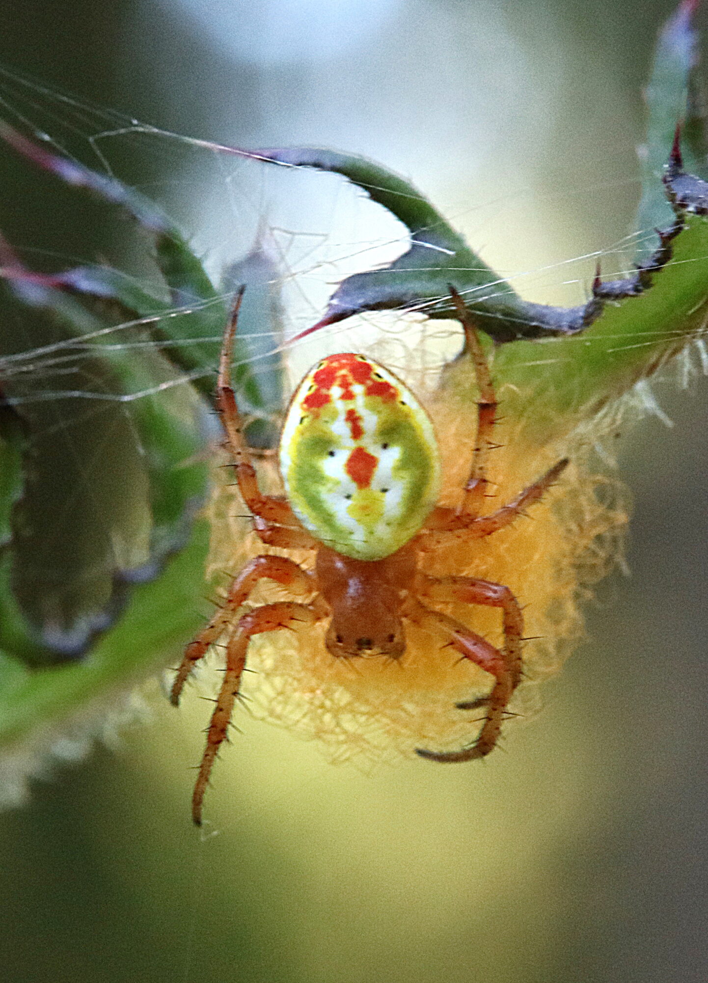 Valokuvaaja: Hannu Rasiranta