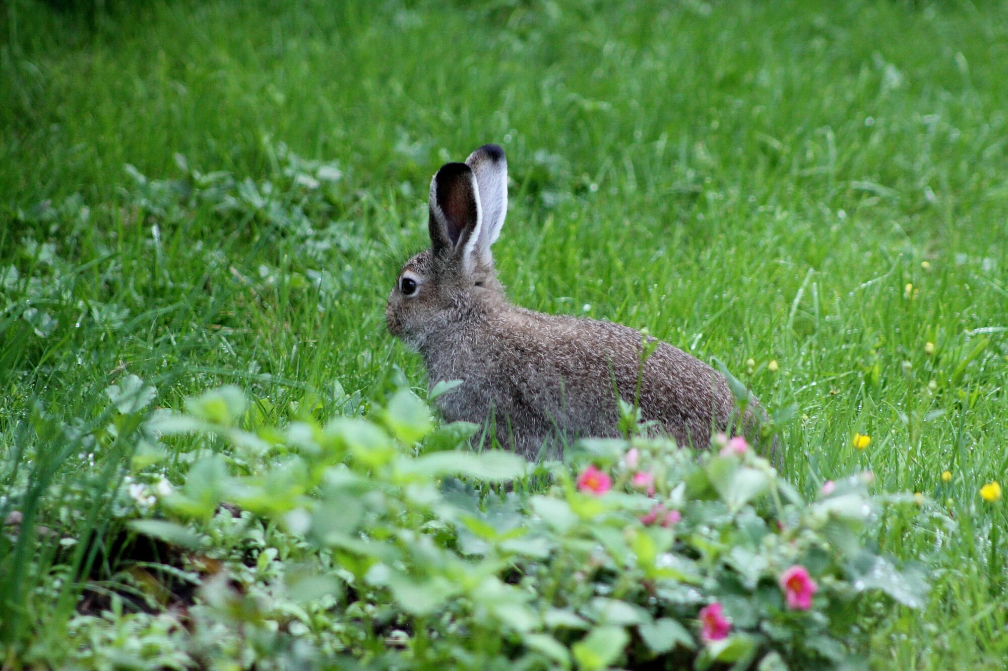 Valokuvaaja: Pirkko Siukonen