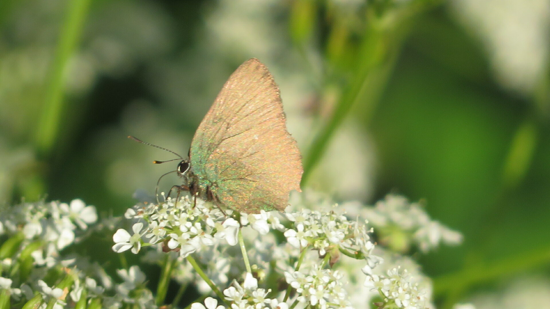 Valokuvaaja: Risto Kangassalo