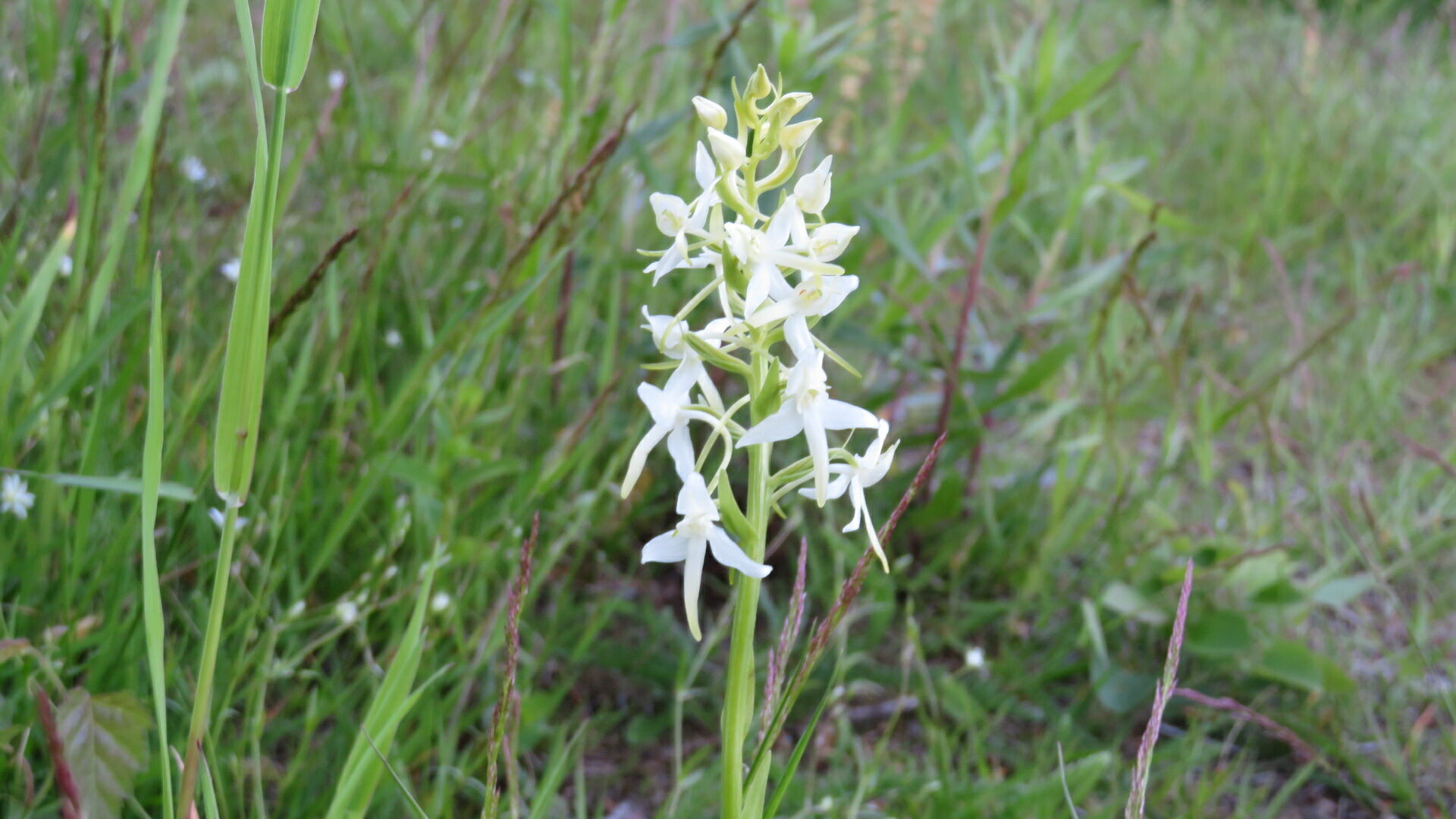 Valokuvaaja: Risto Kangassalo