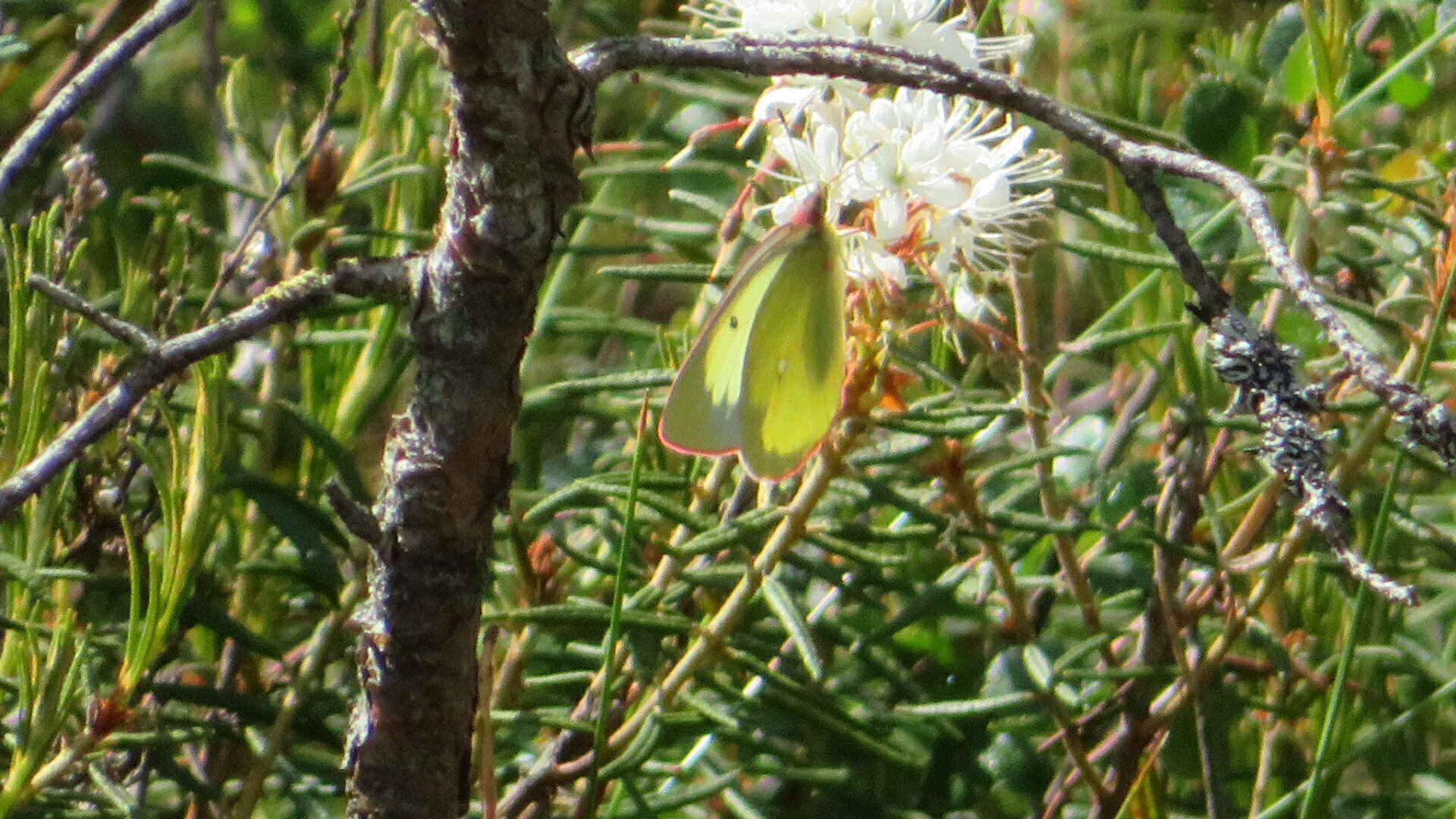Valokuvaaja: Risto Kangassalo