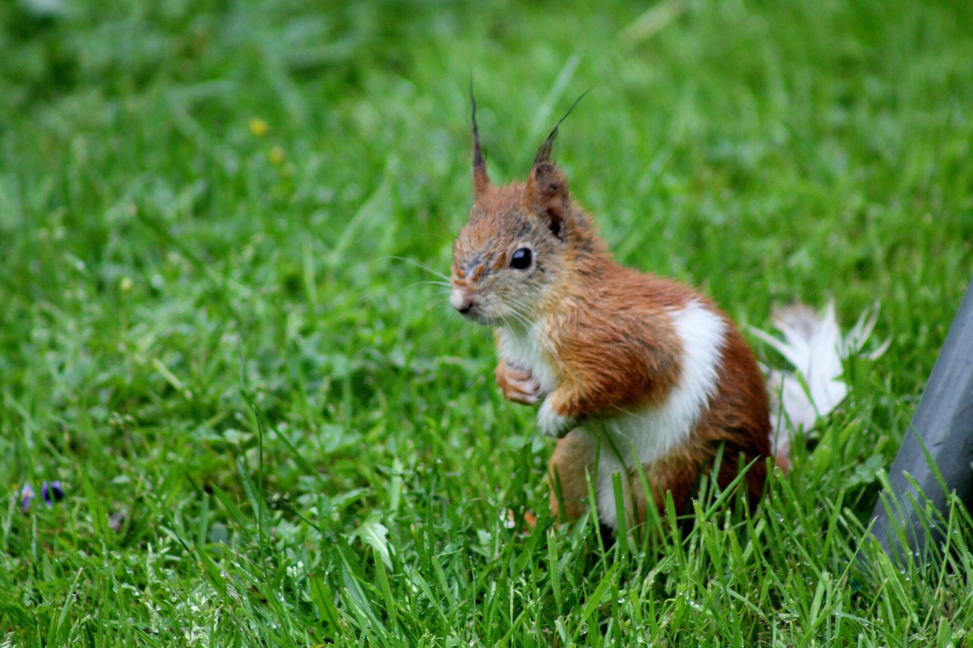 Valokuvaaja: Pirkko Siukonen Valokuvaaja: Pirkko Siukonen
